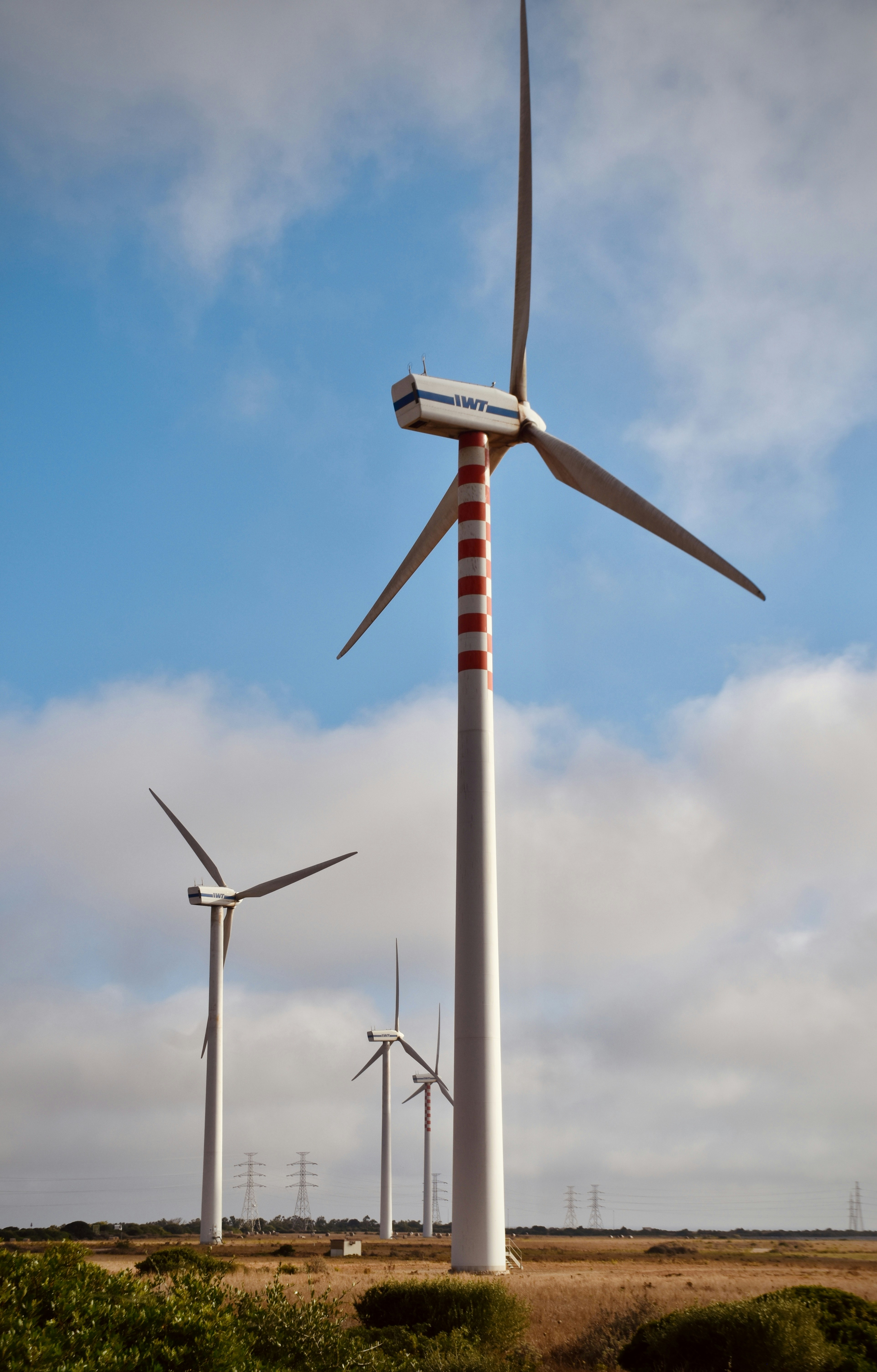 A group of wind turbines in a field