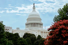 A view of the capitol building from across the street