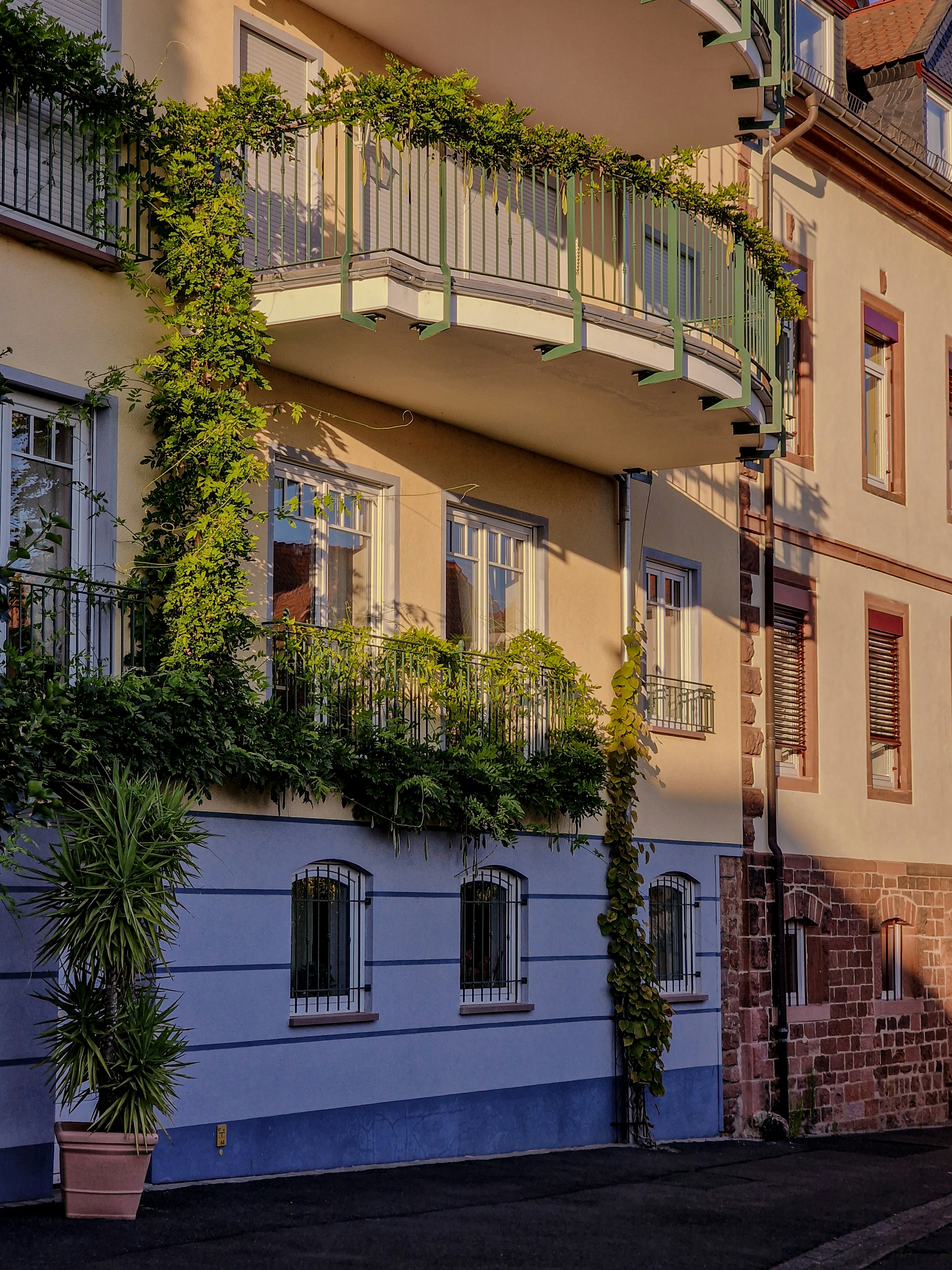 Photo by meshaal_hajali