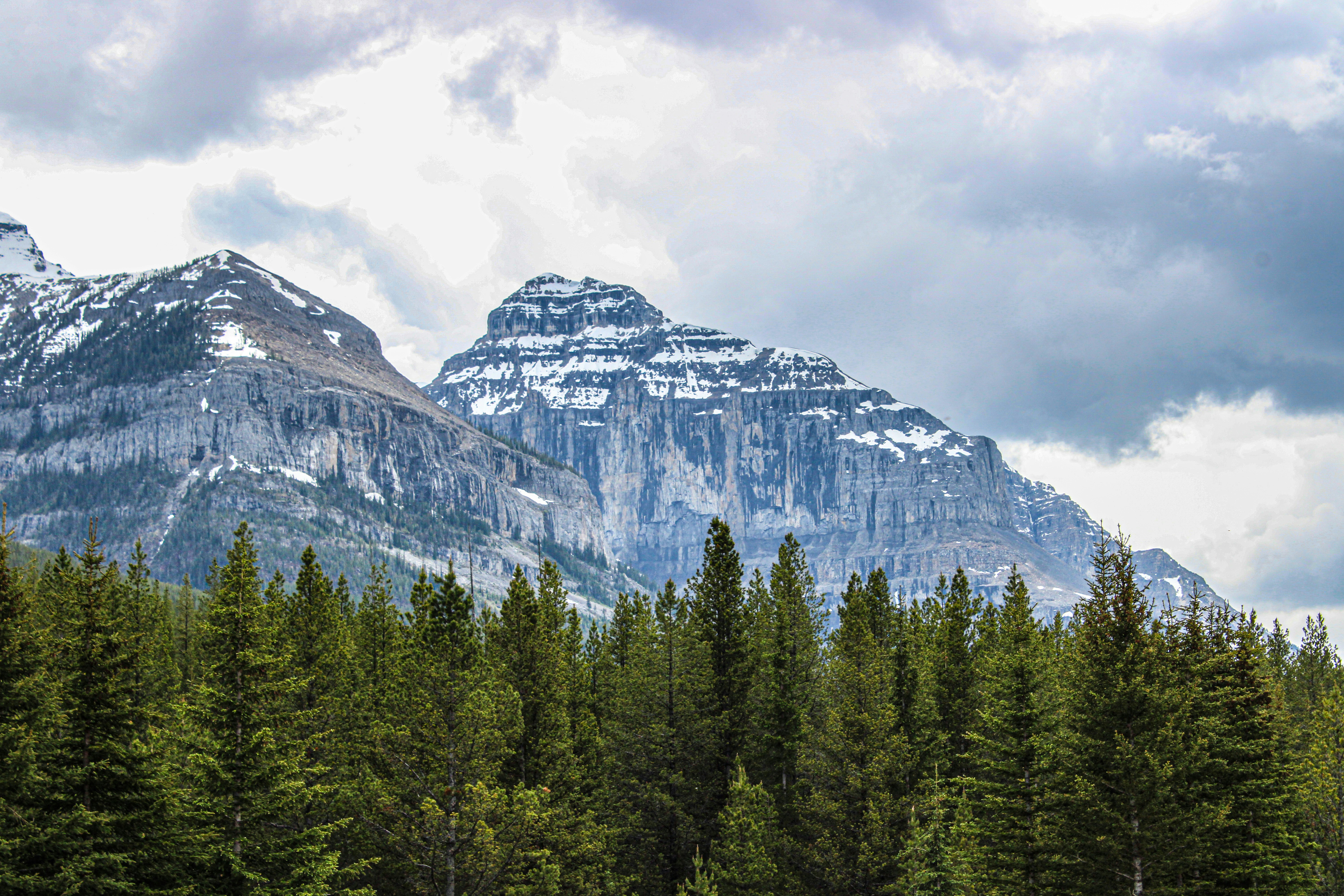 Photo by prphotography262