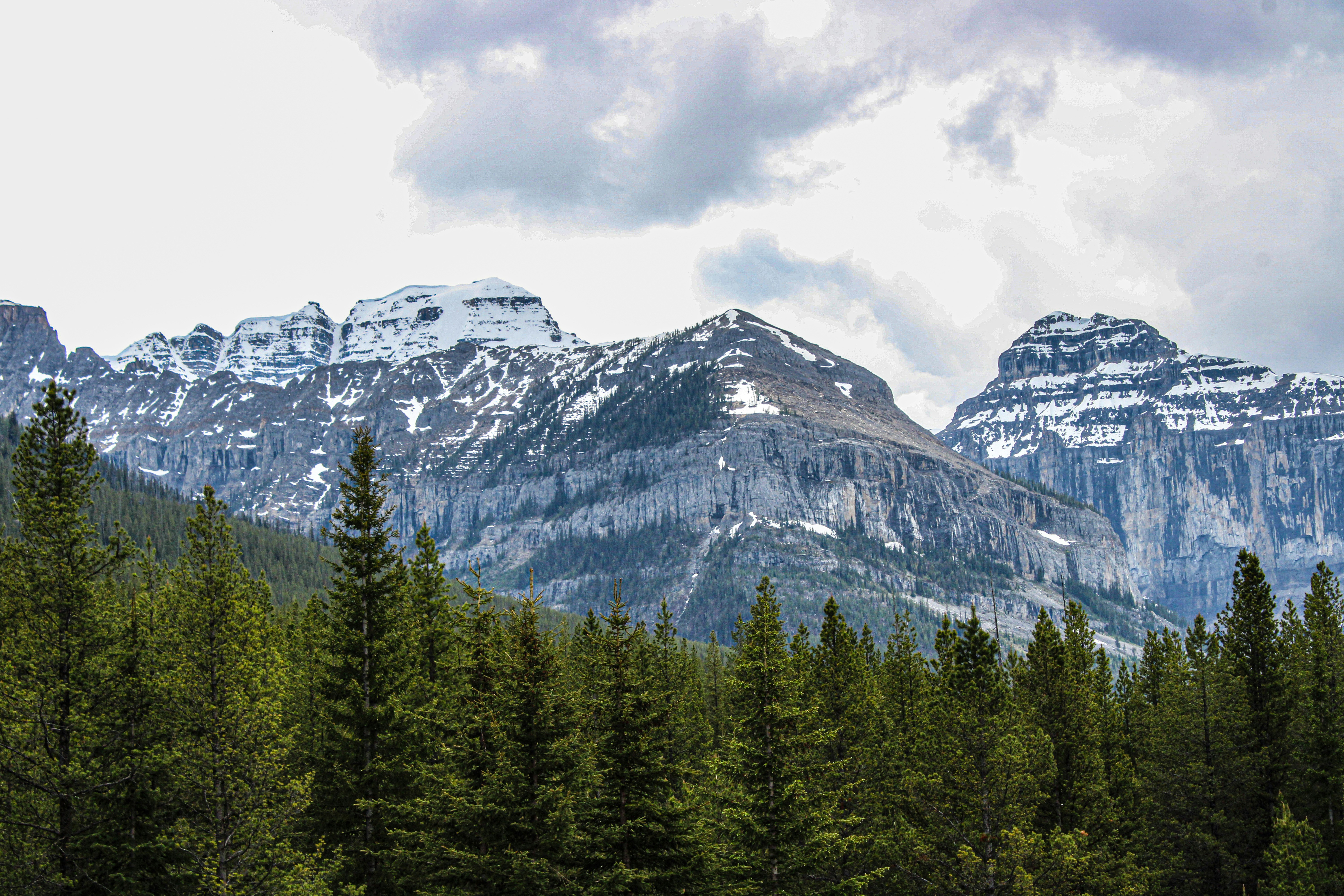 Photo by prphotography262