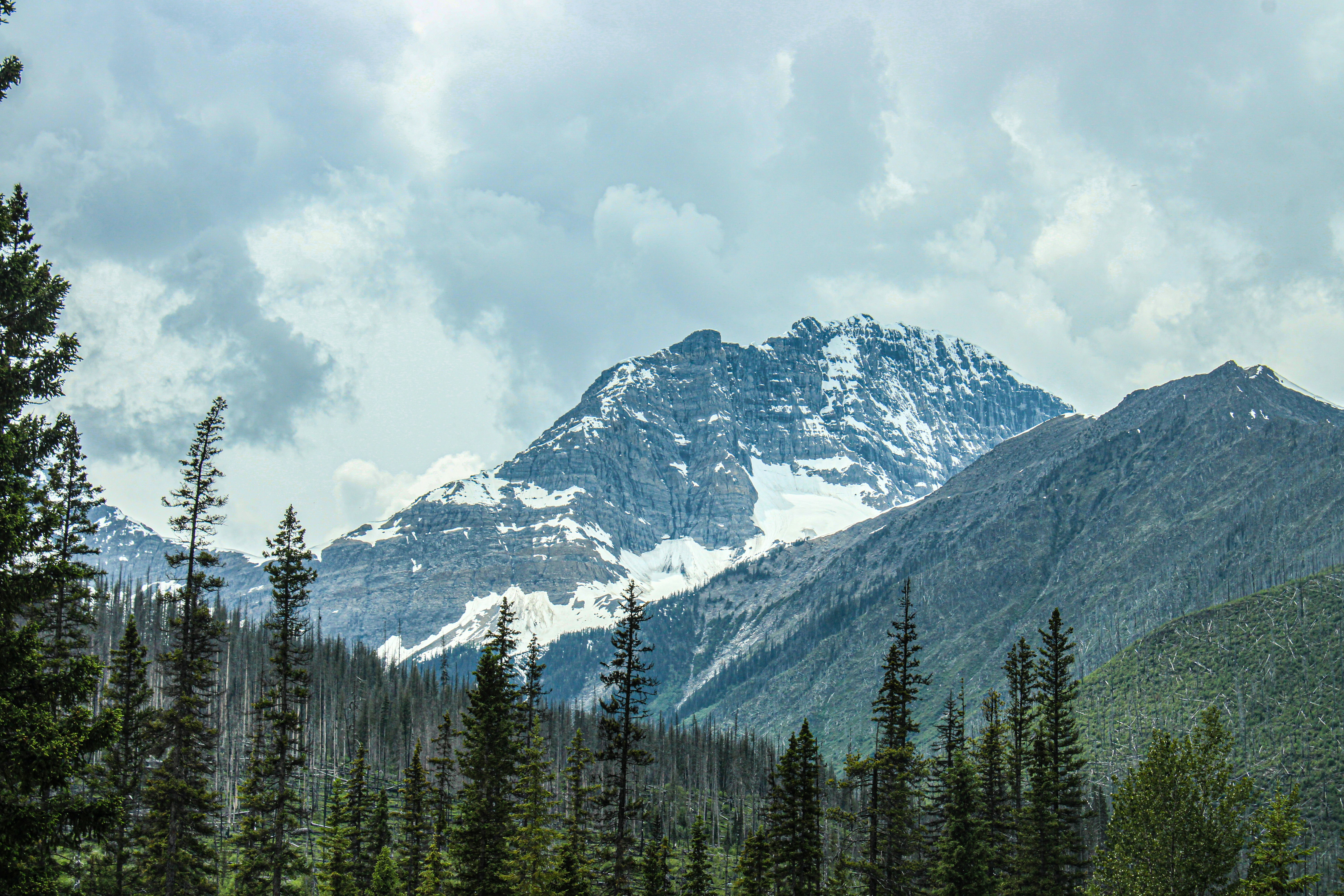 Photo by prphotography262