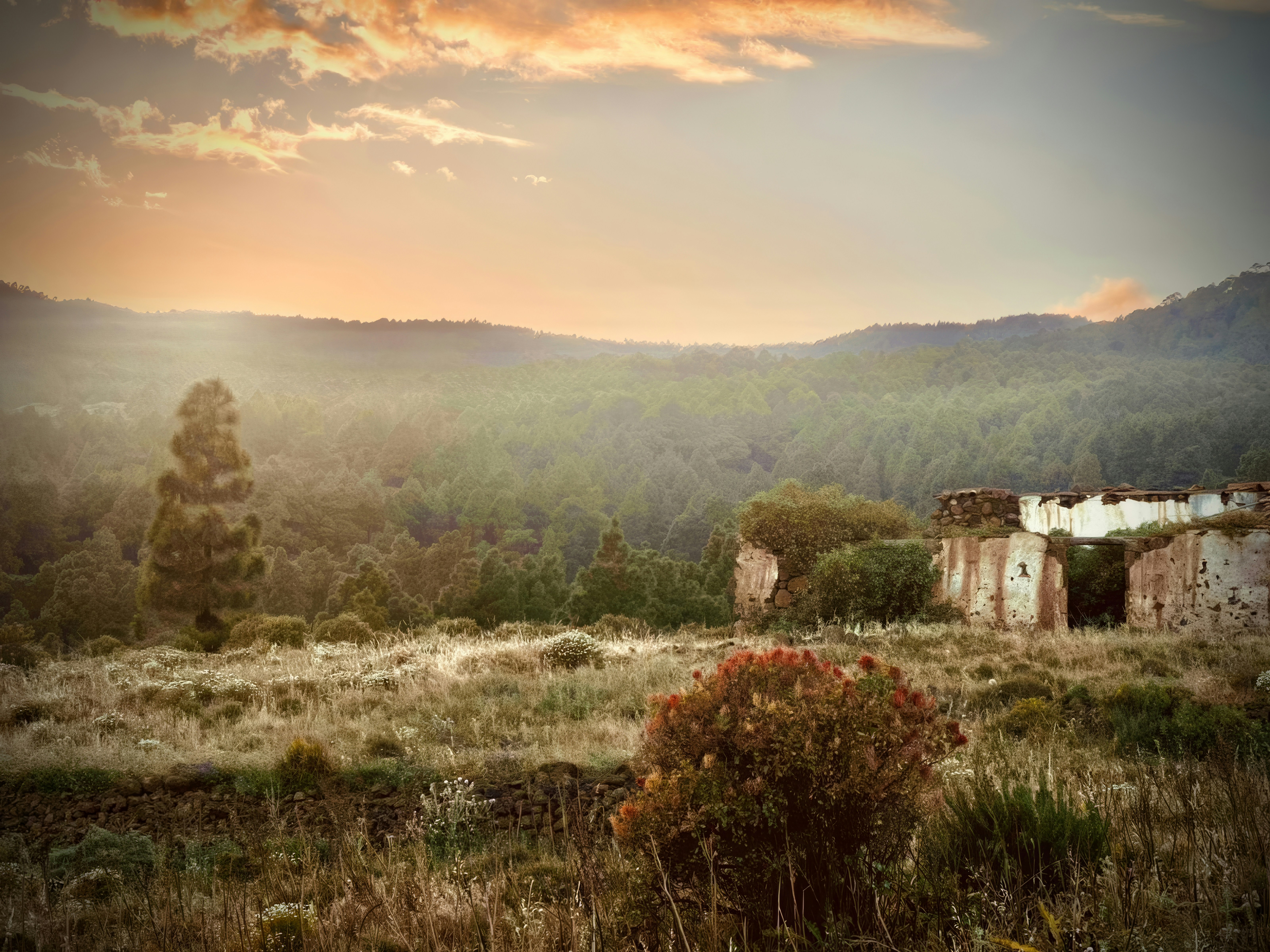Una casa in mezzo a un campo con le montagne sullo sfondo