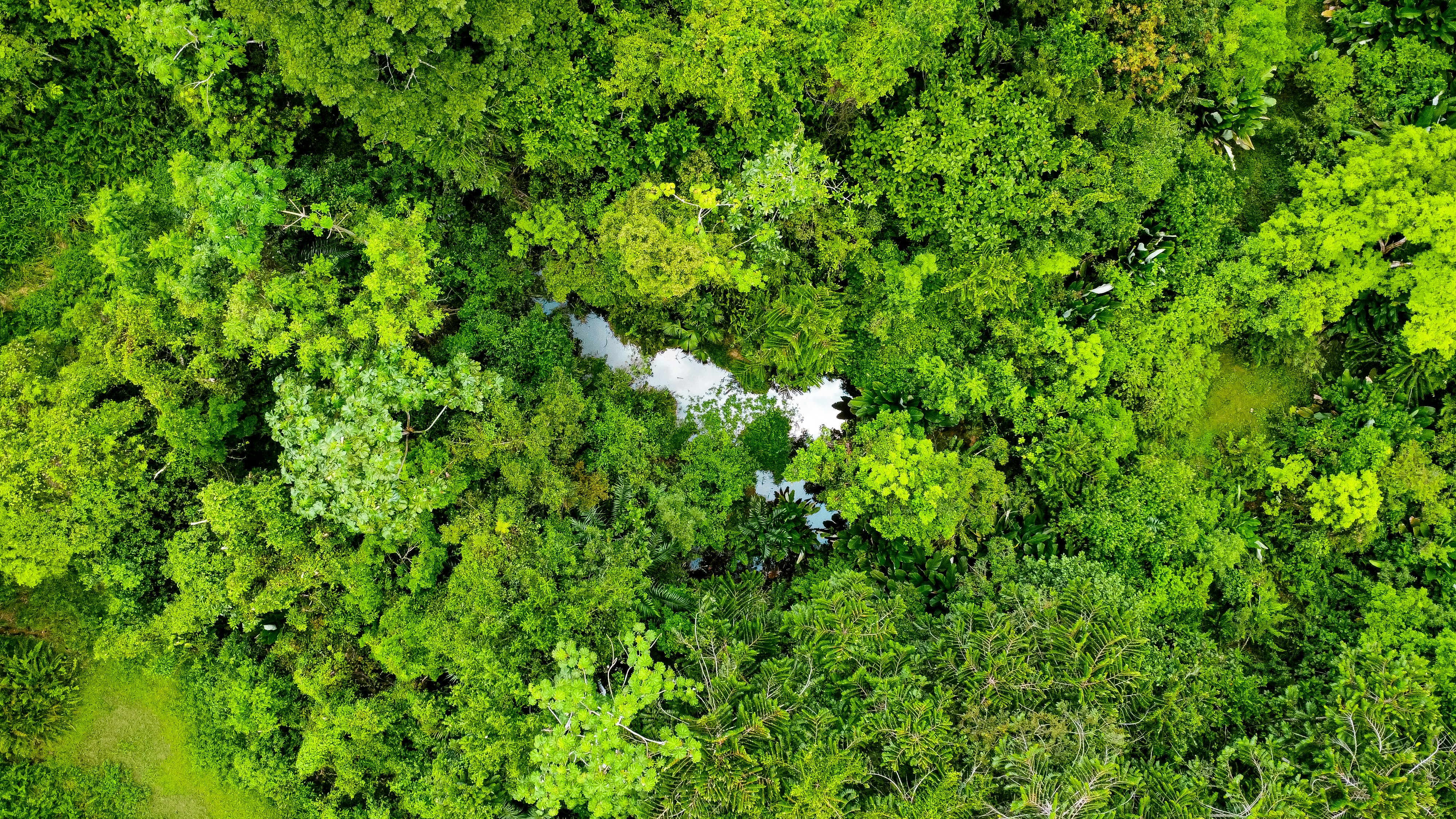 Photo by camilabermudez