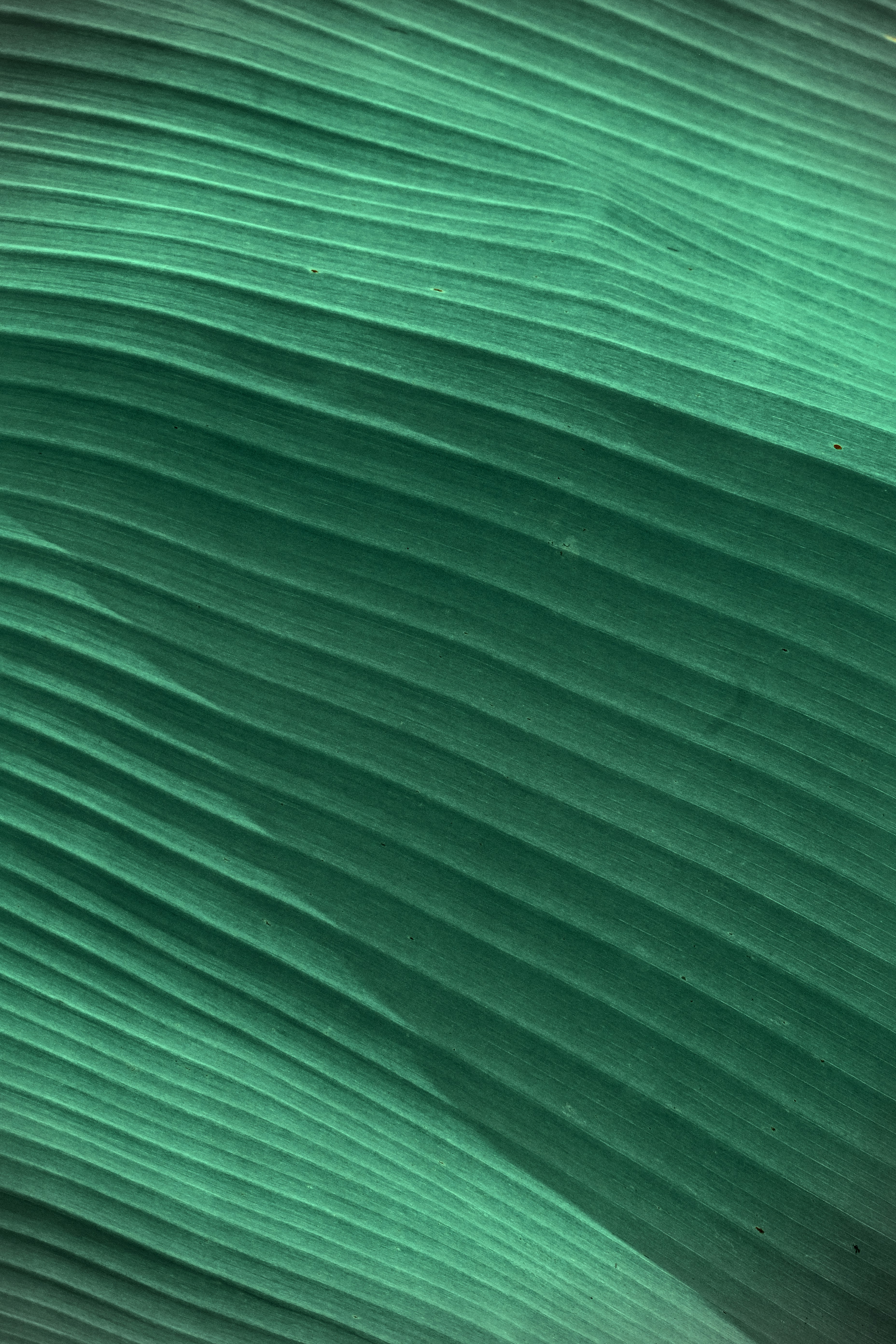 Scanner Texture Pictures | Download Free Images on Unsplash