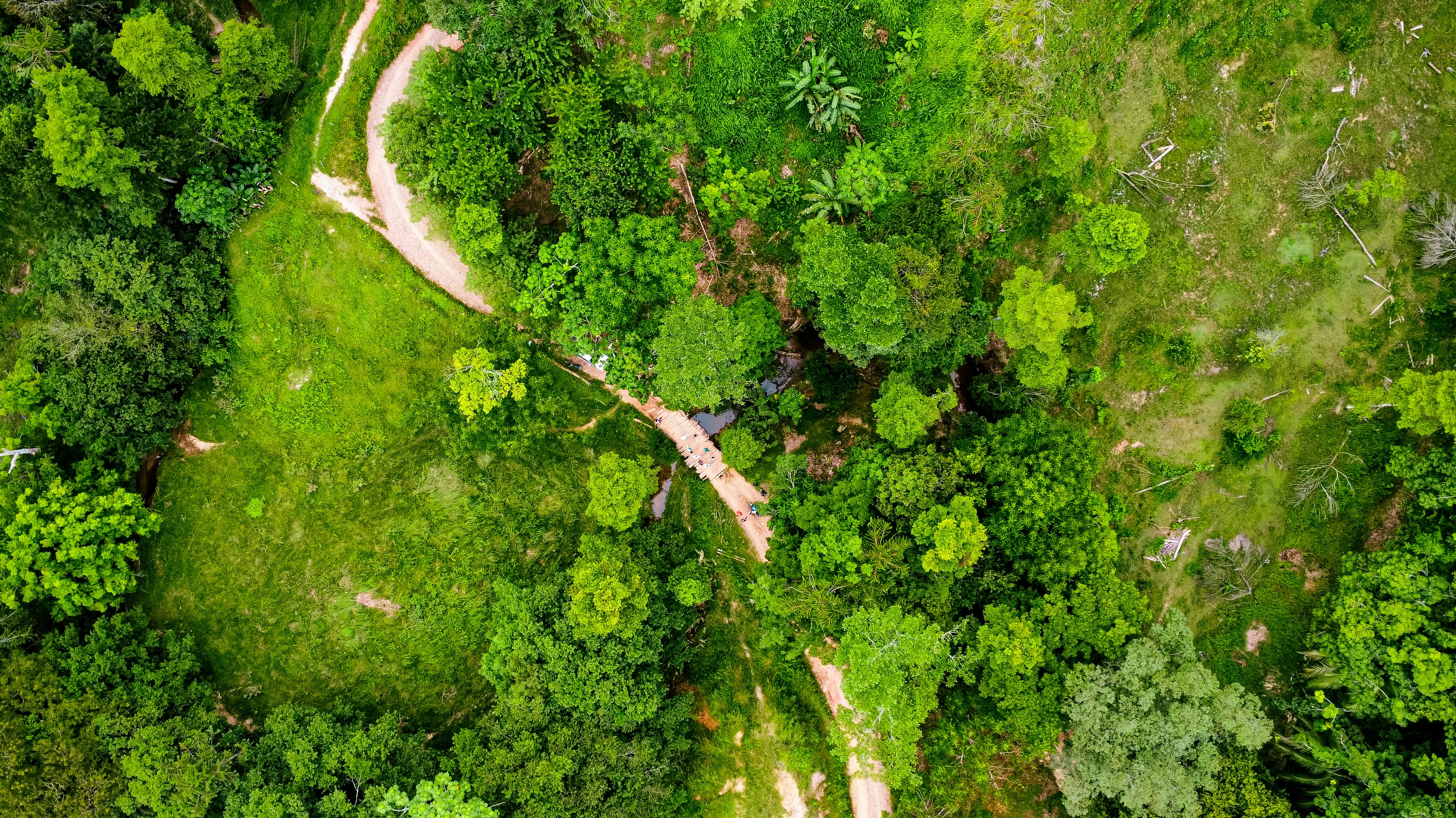 Photo by camilabermudez