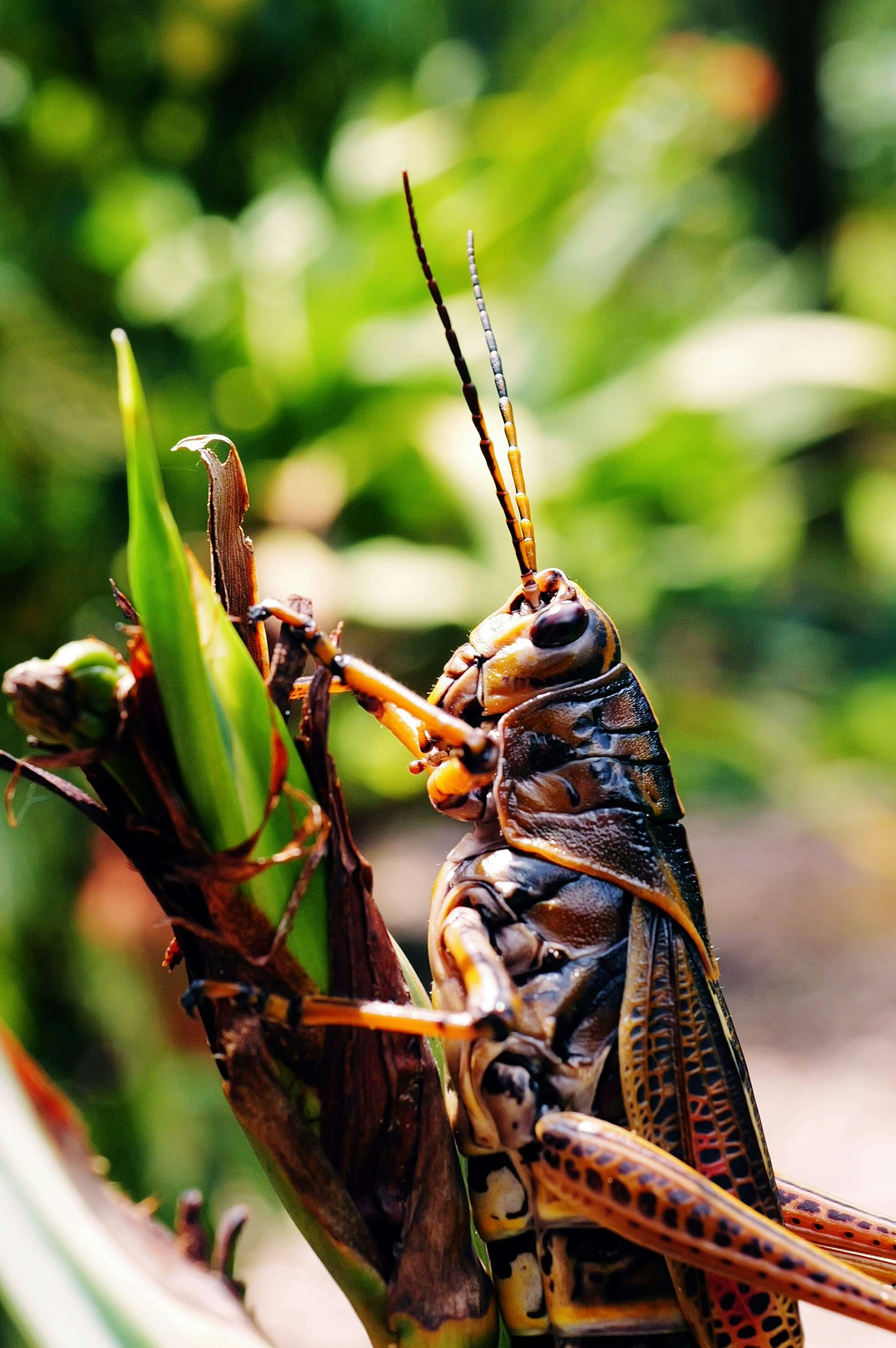 Photo by thephotochad