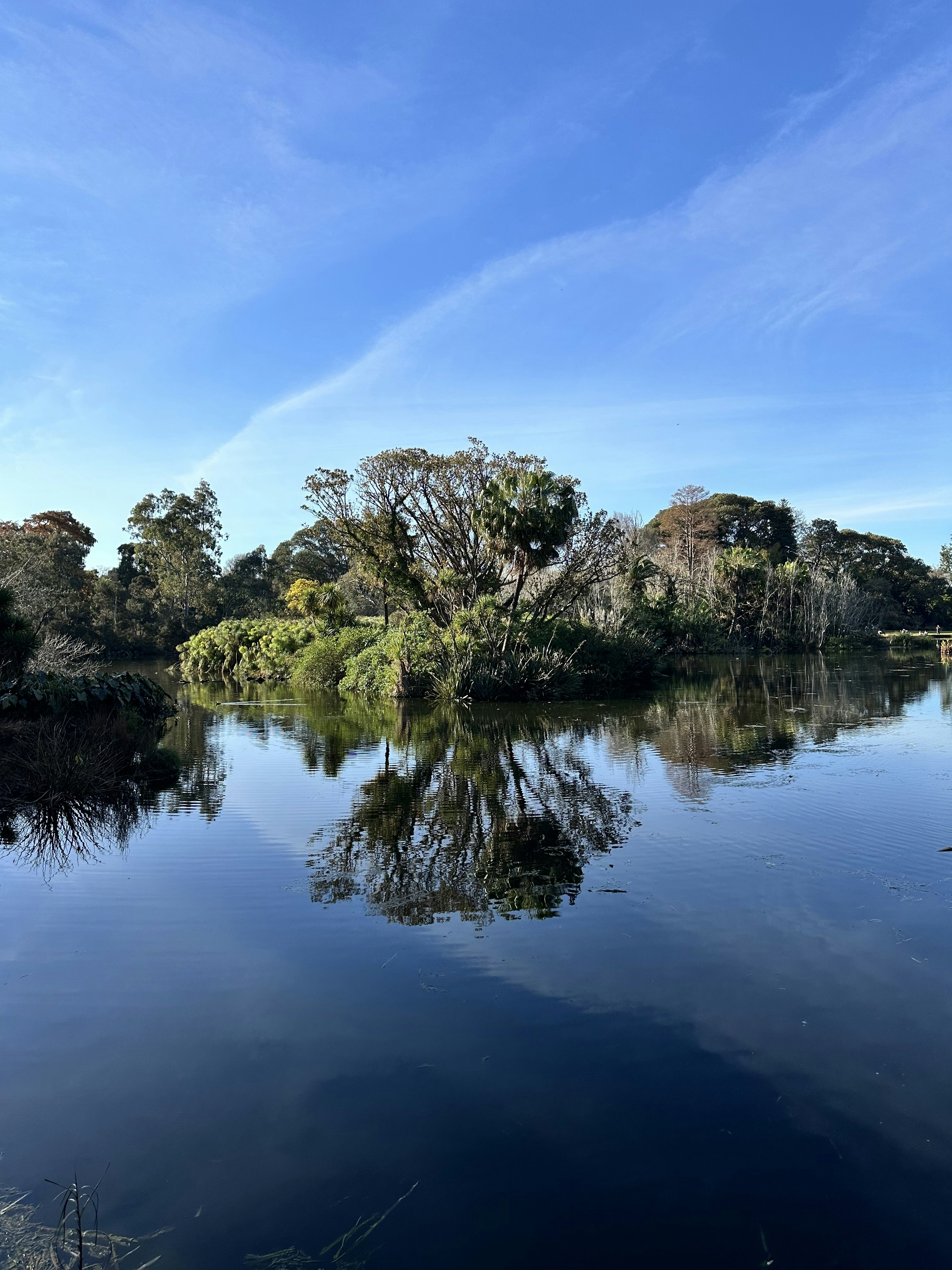 Photo by mickgardner