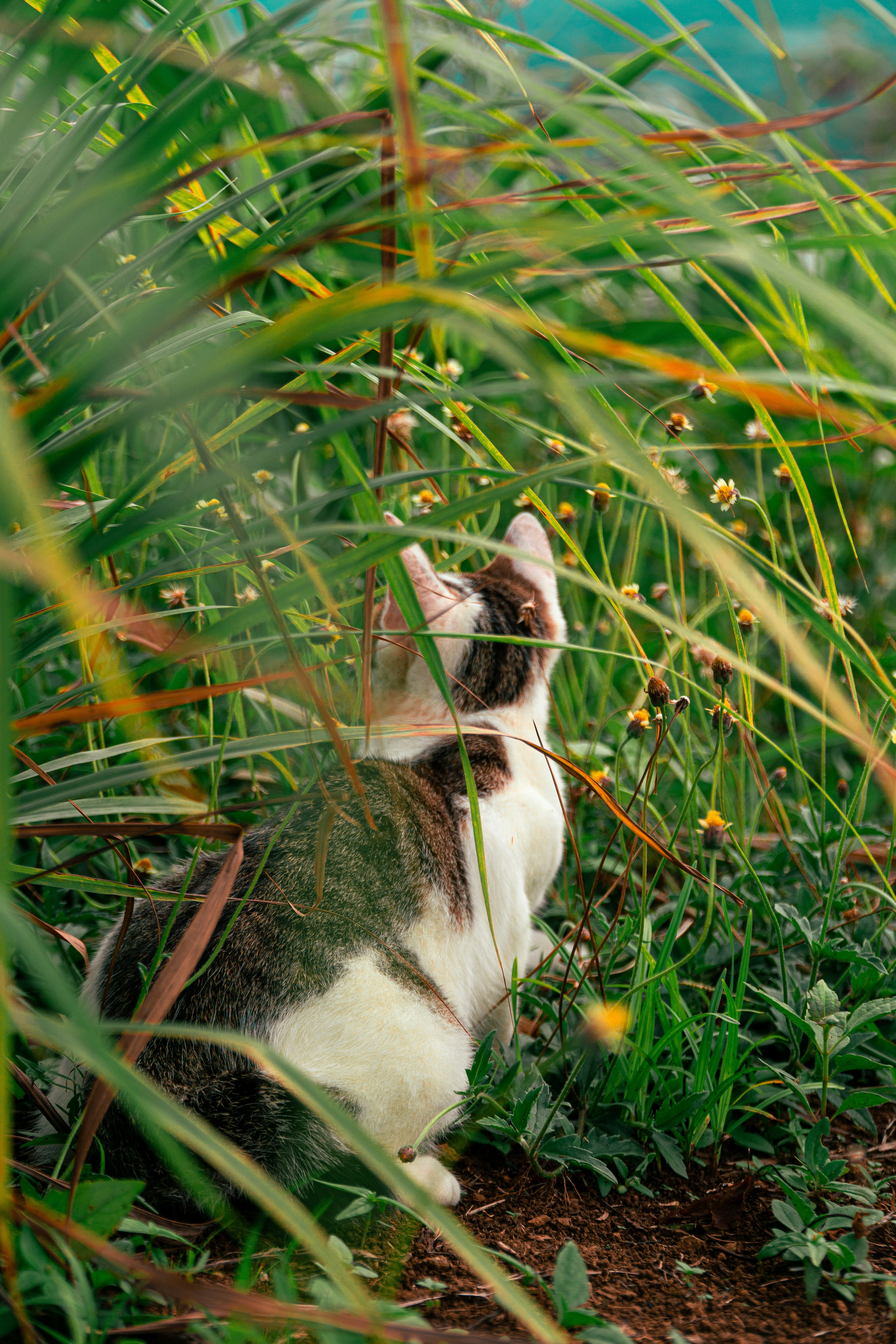 Playfulness Woven Into Every Day (image credits: unsplash)