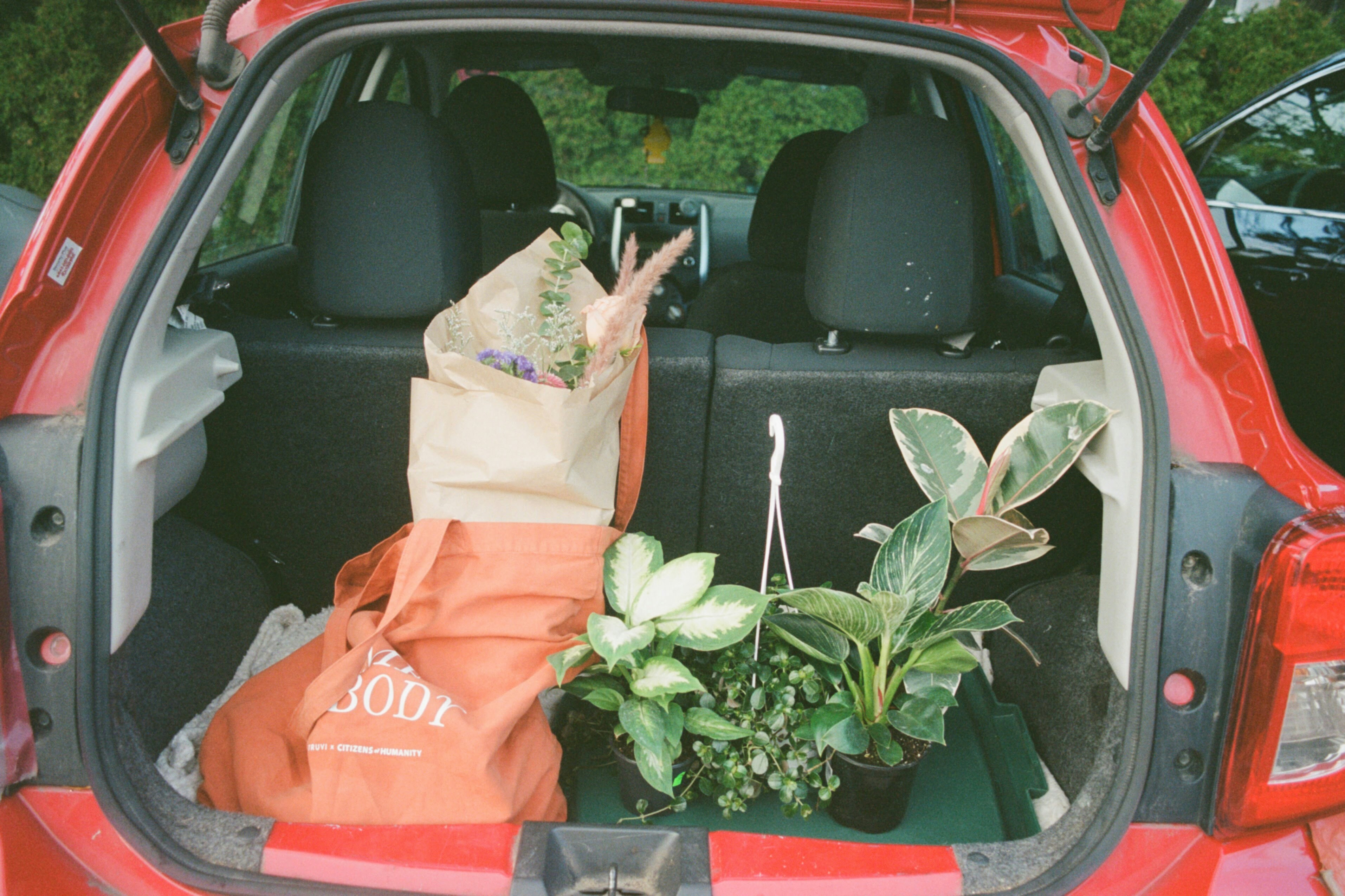Eco-friendly car with plants