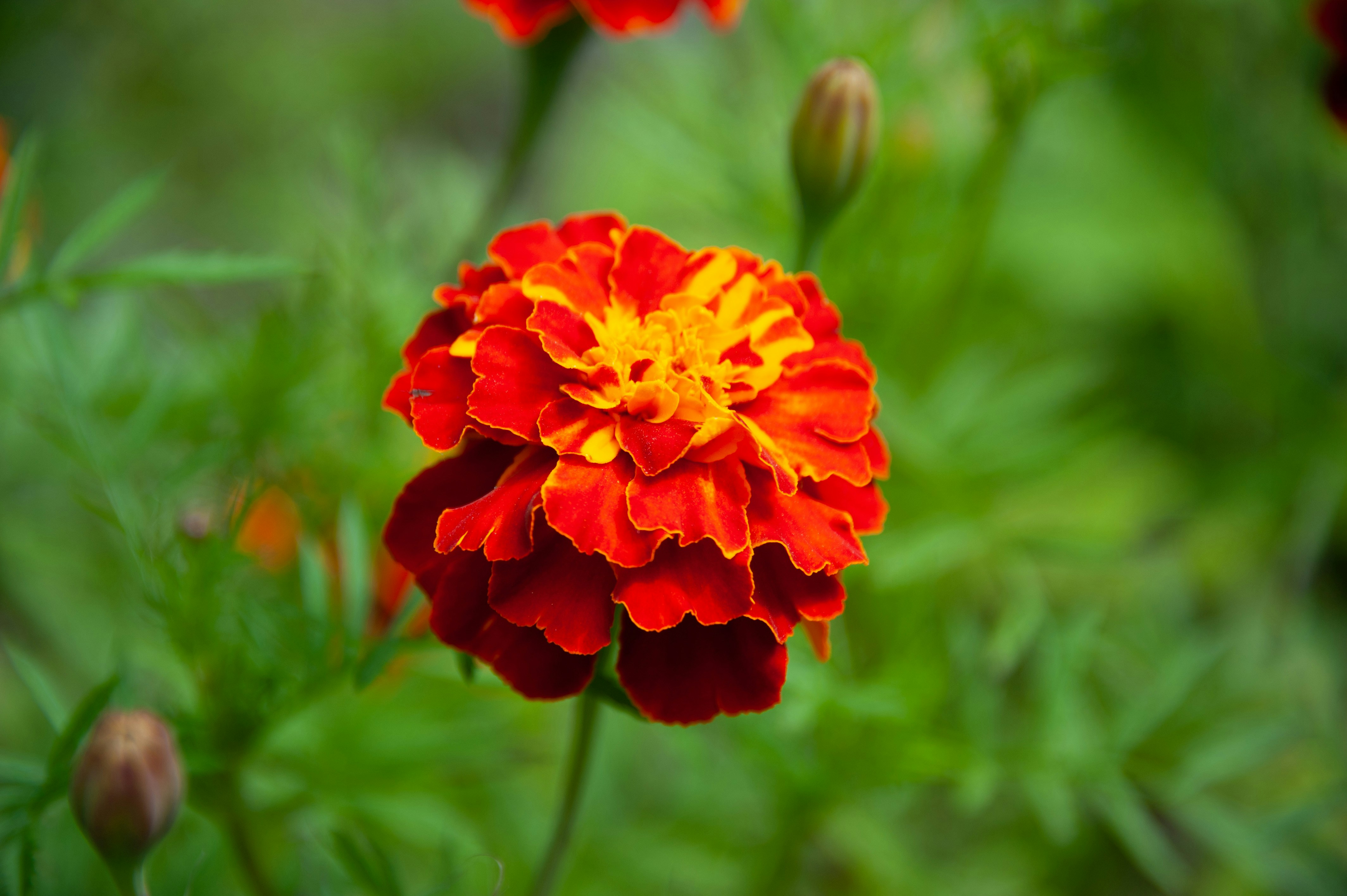 Photo by rrricharddd