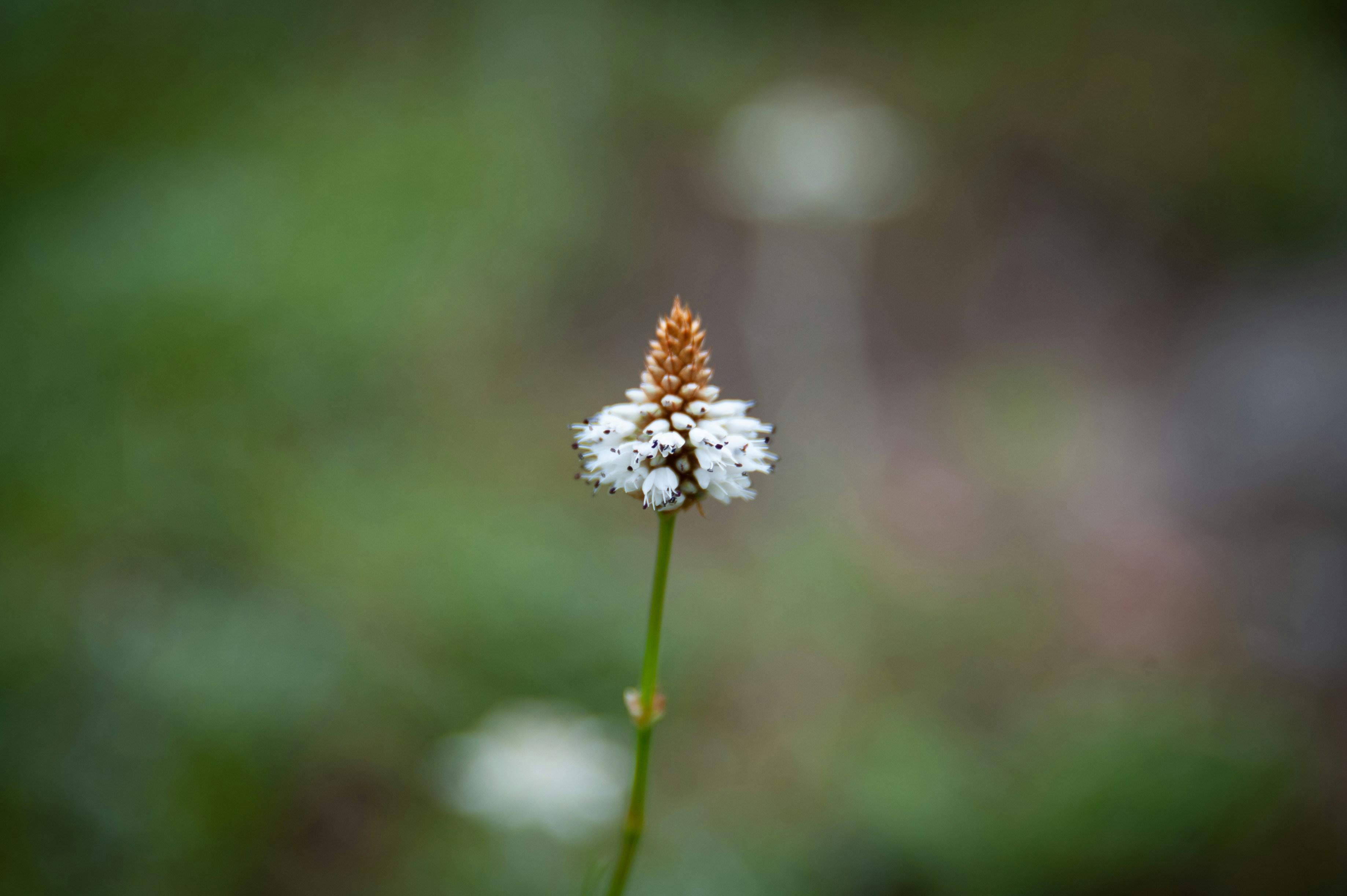 Photo by rrricharddd