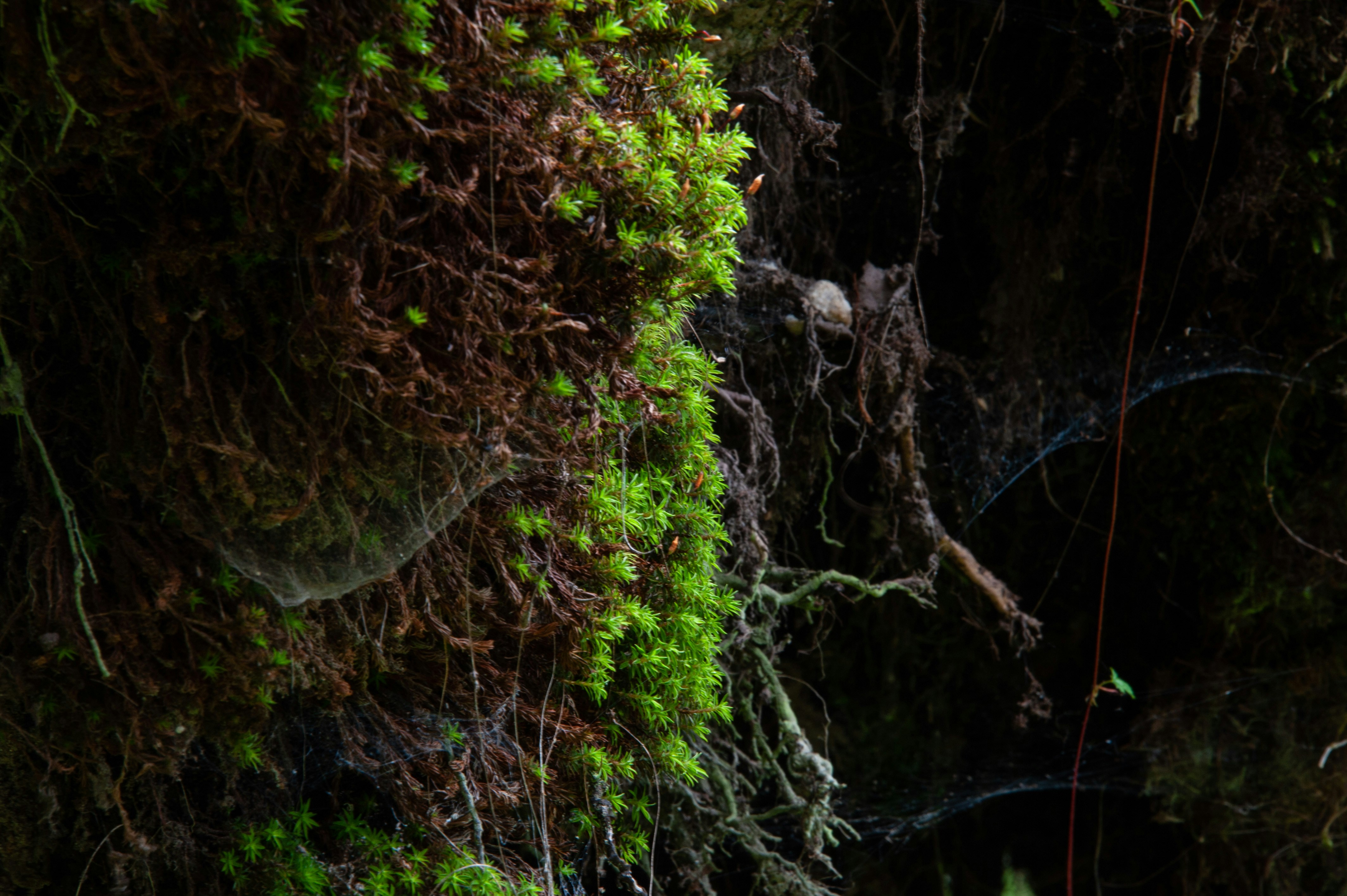 Photo by rrricharddd