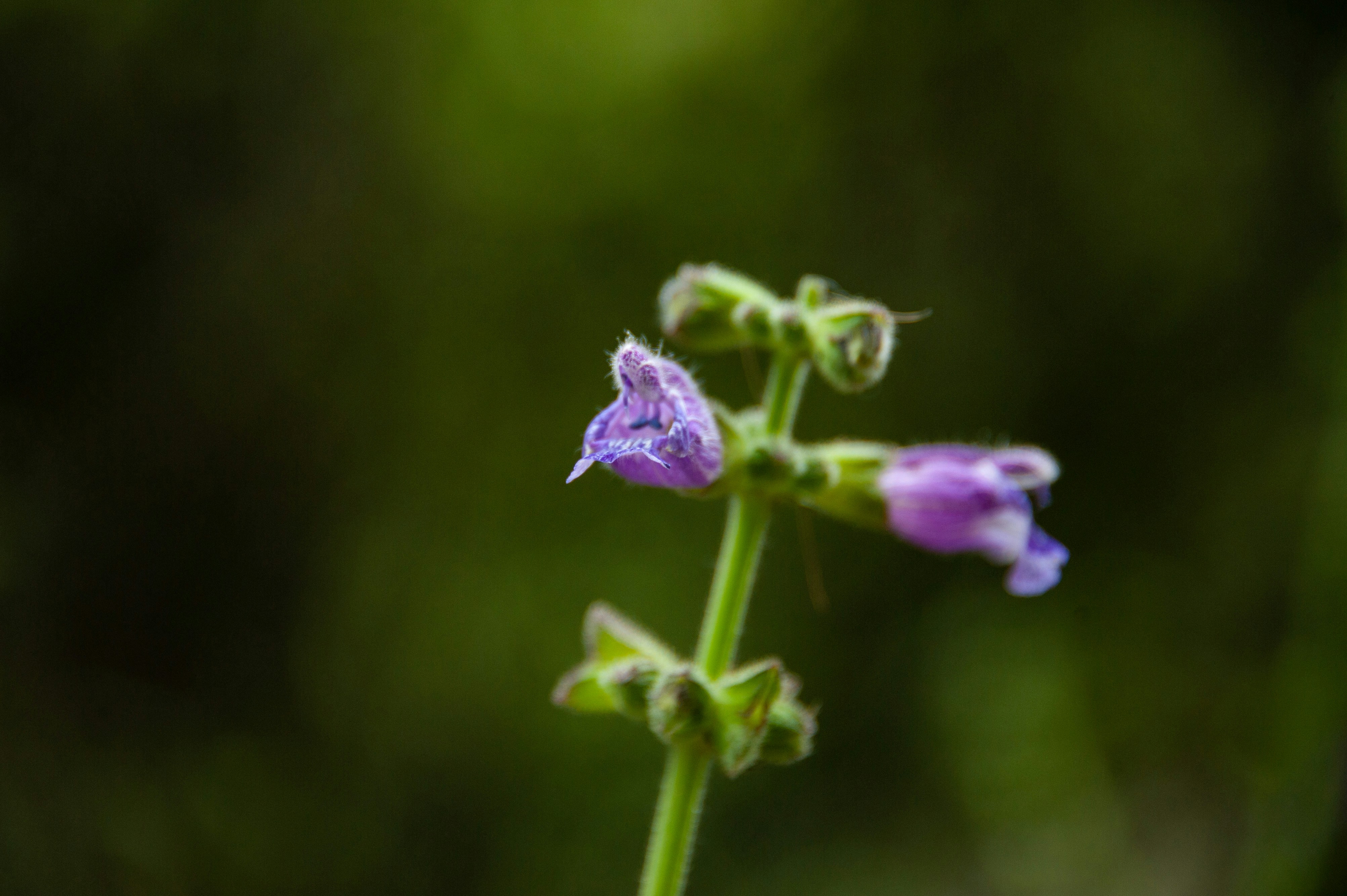 Photo by rrricharddd