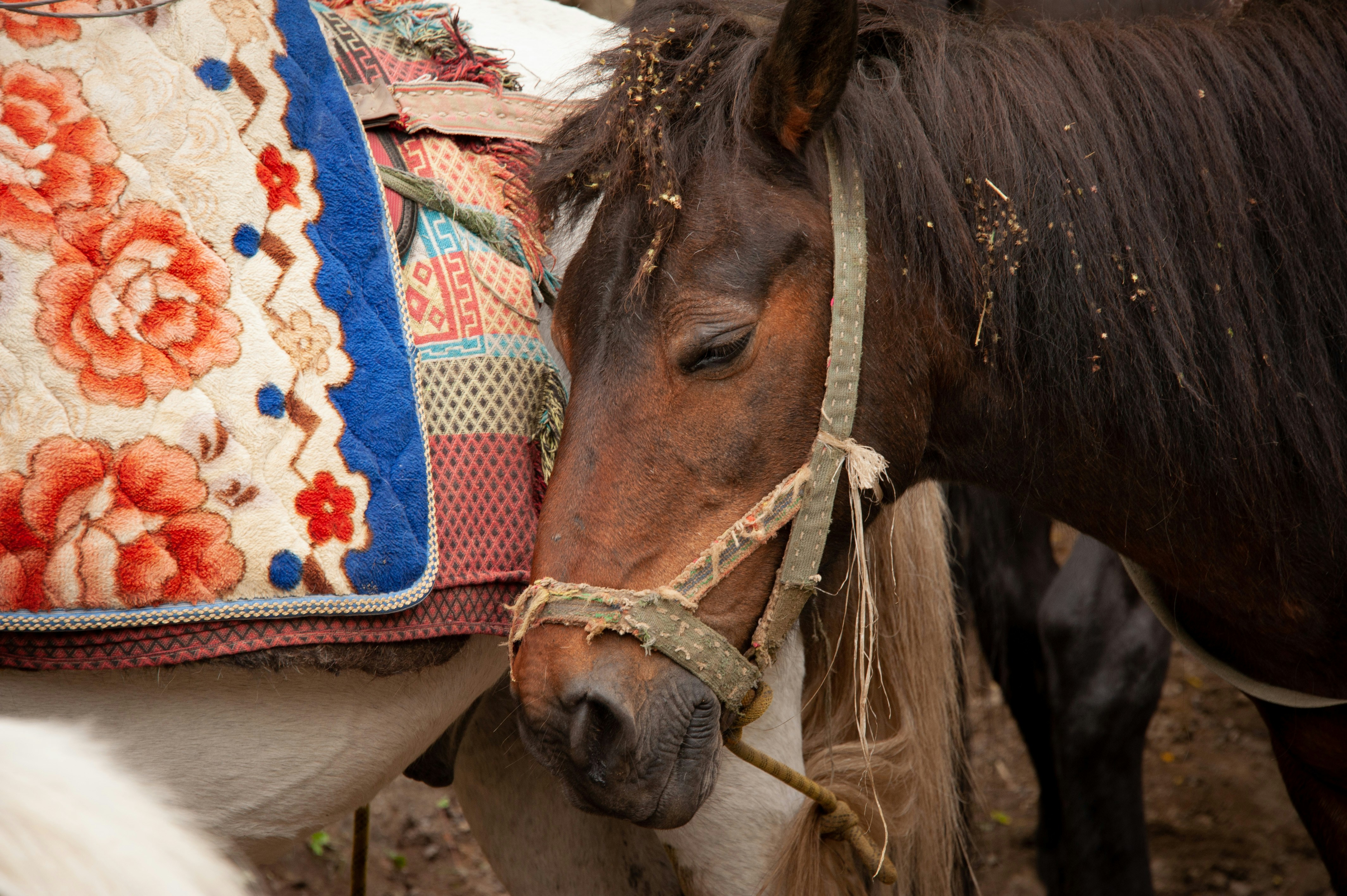 Photo by rrricharddd