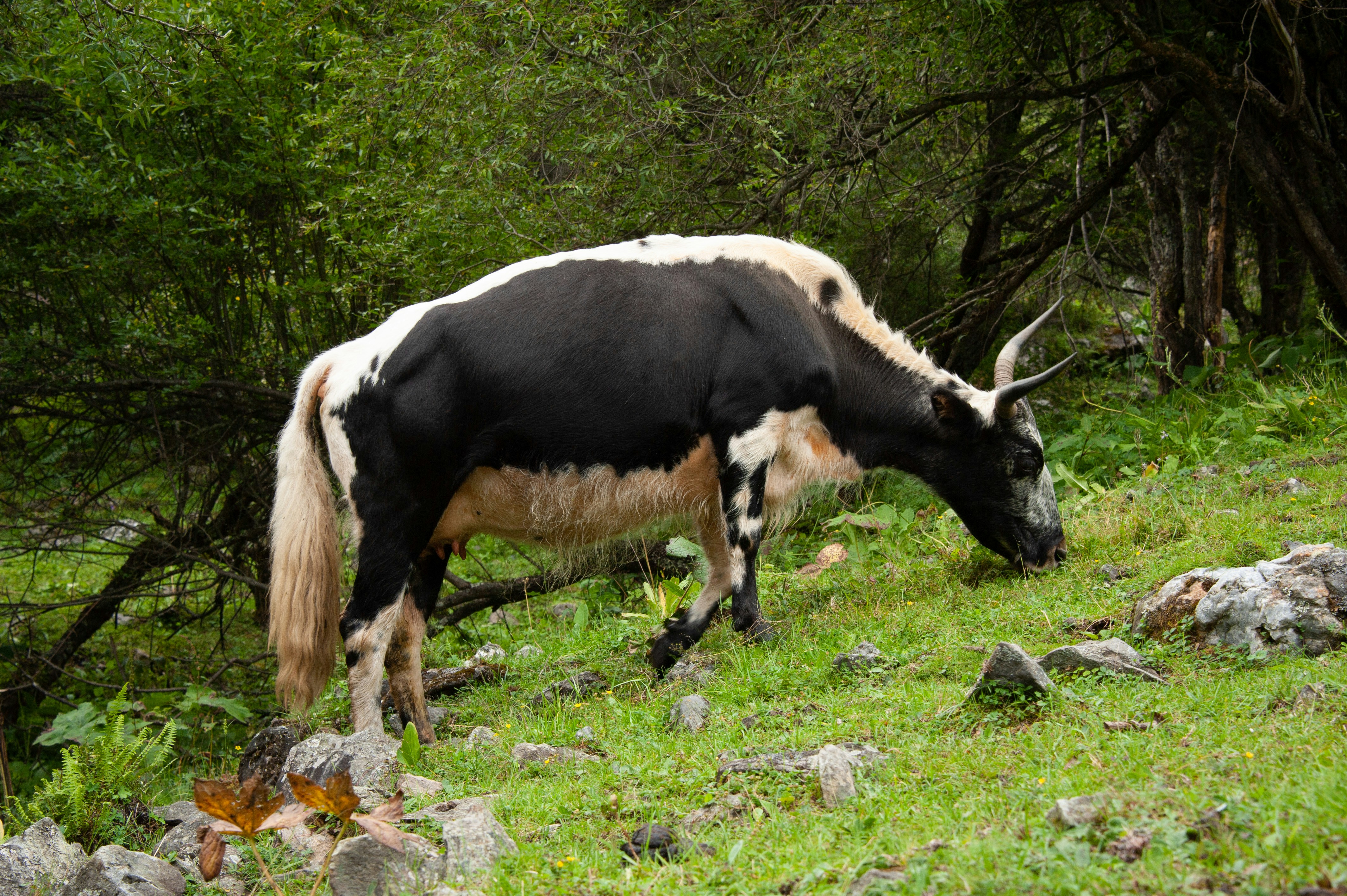 Photo by rrricharddd