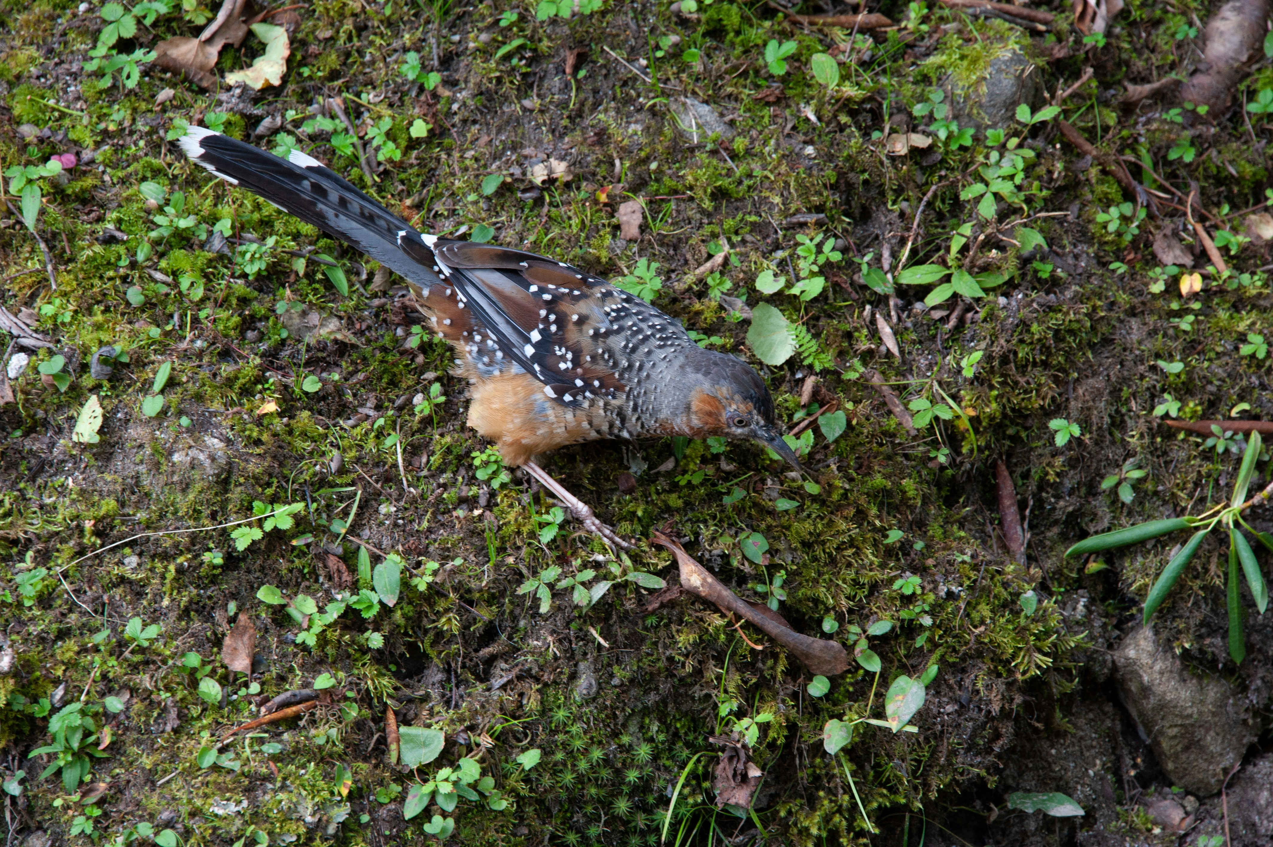 Photo by rrricharddd