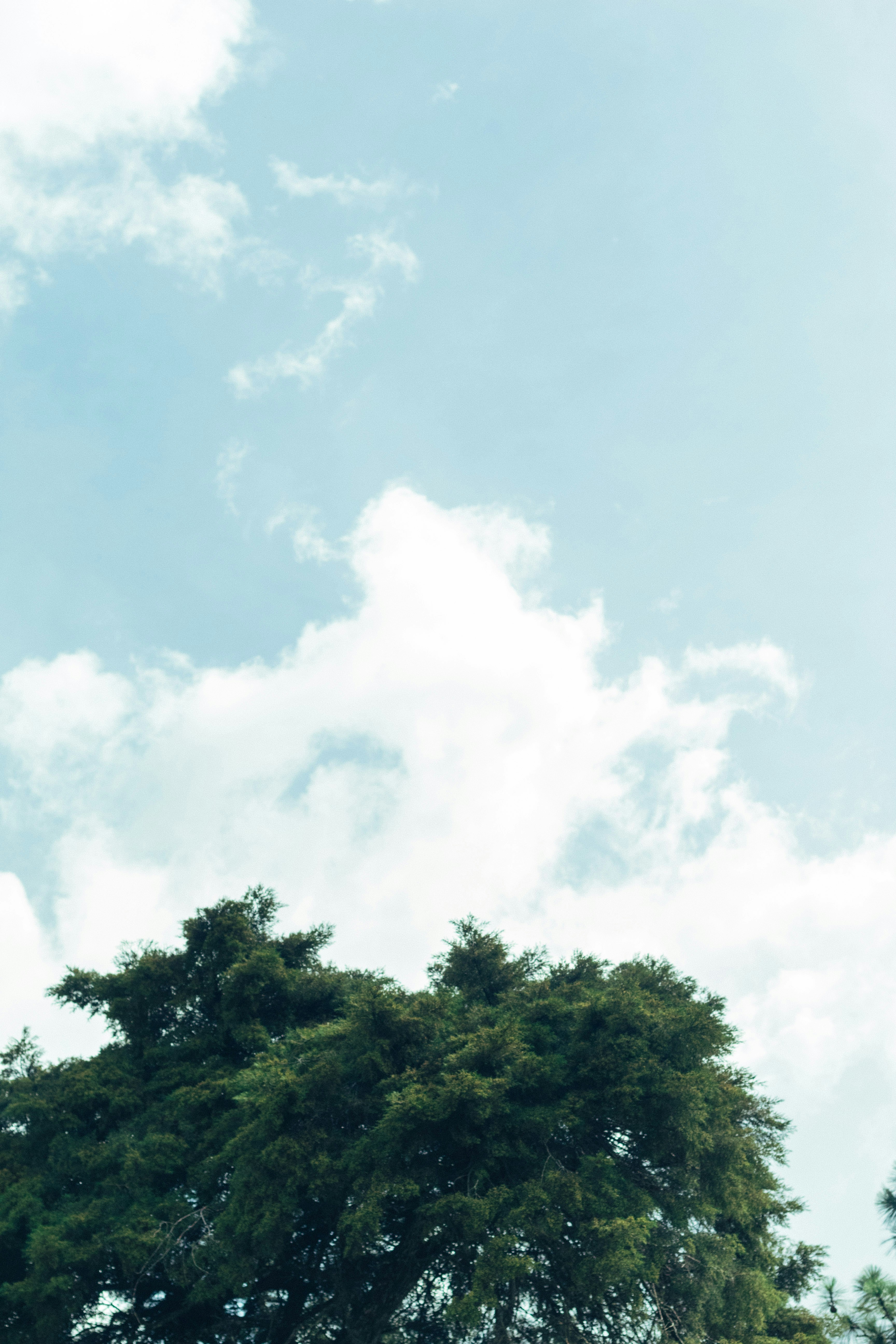 Photo by manuelfigueroa