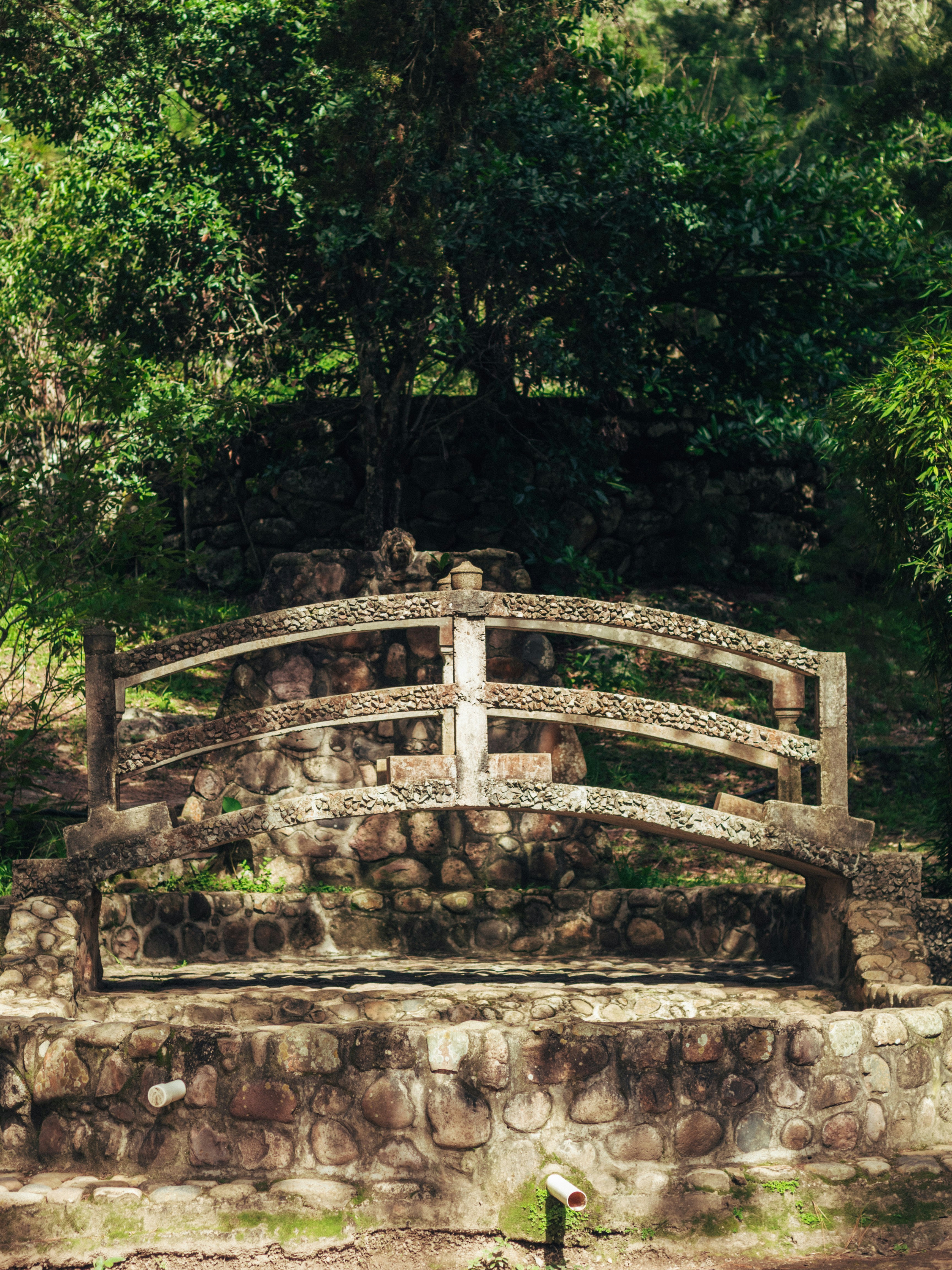 Photo by manuelfigueroa