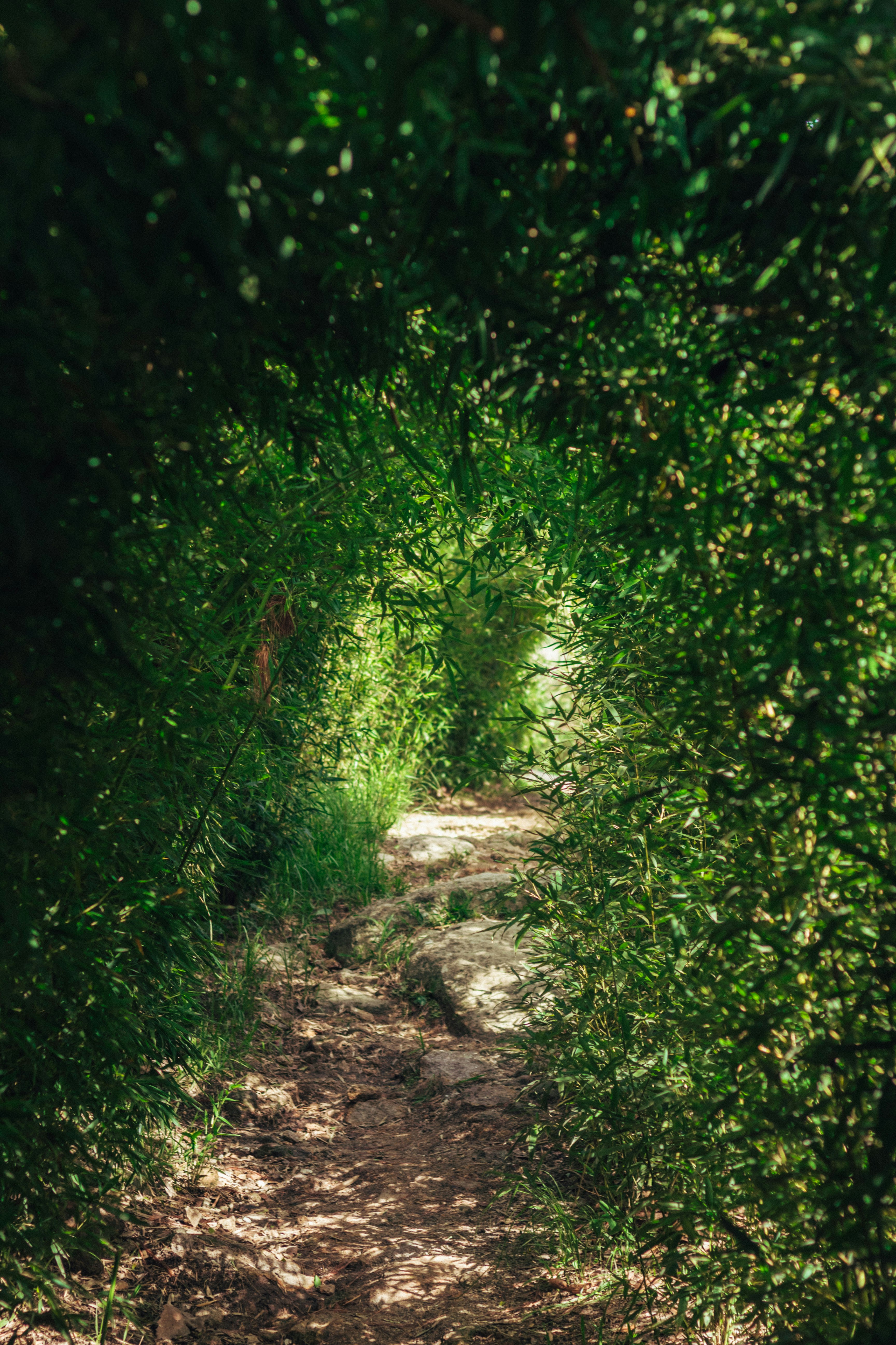 Photo by manuelfigueroa