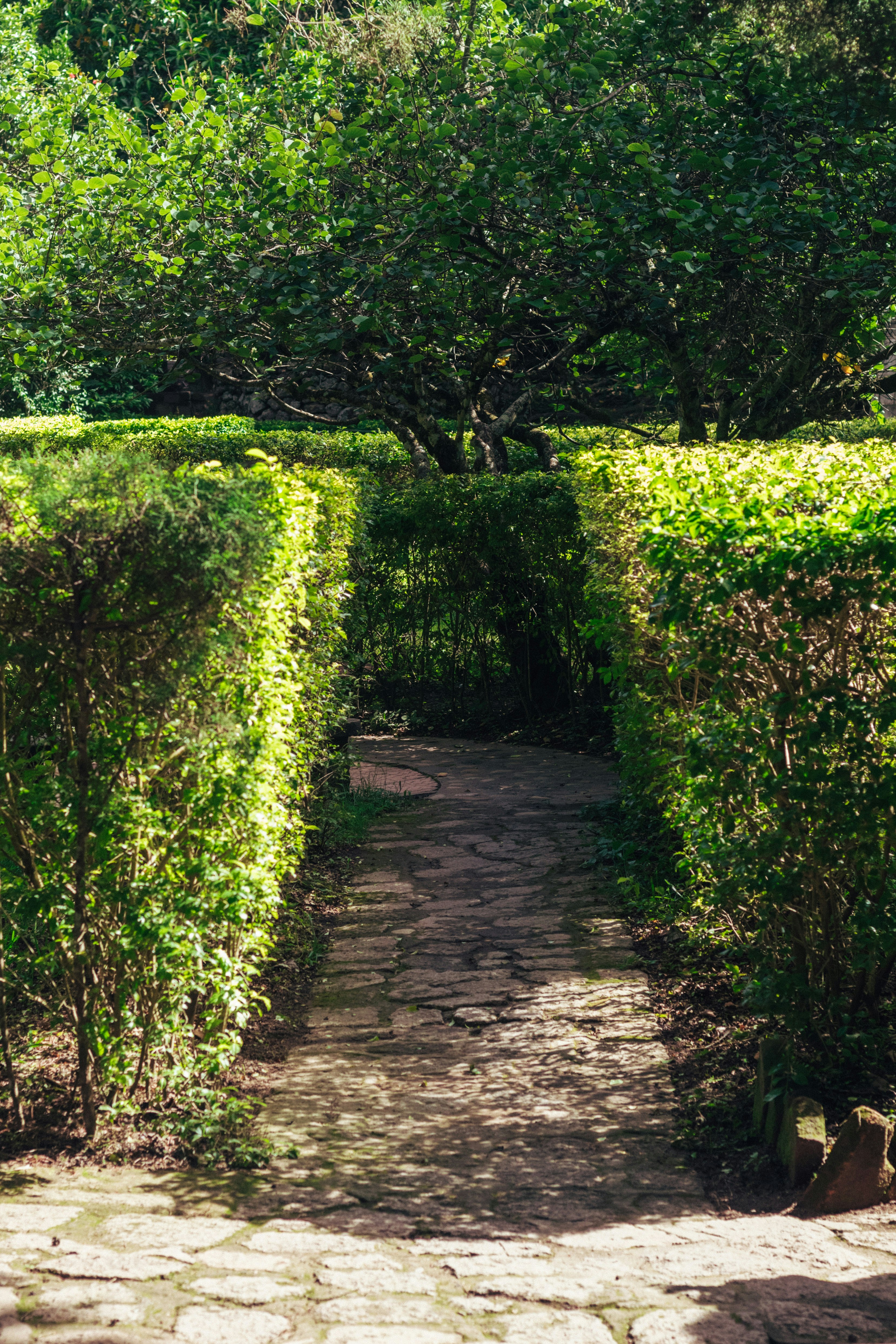 Photo by manuelfigueroa