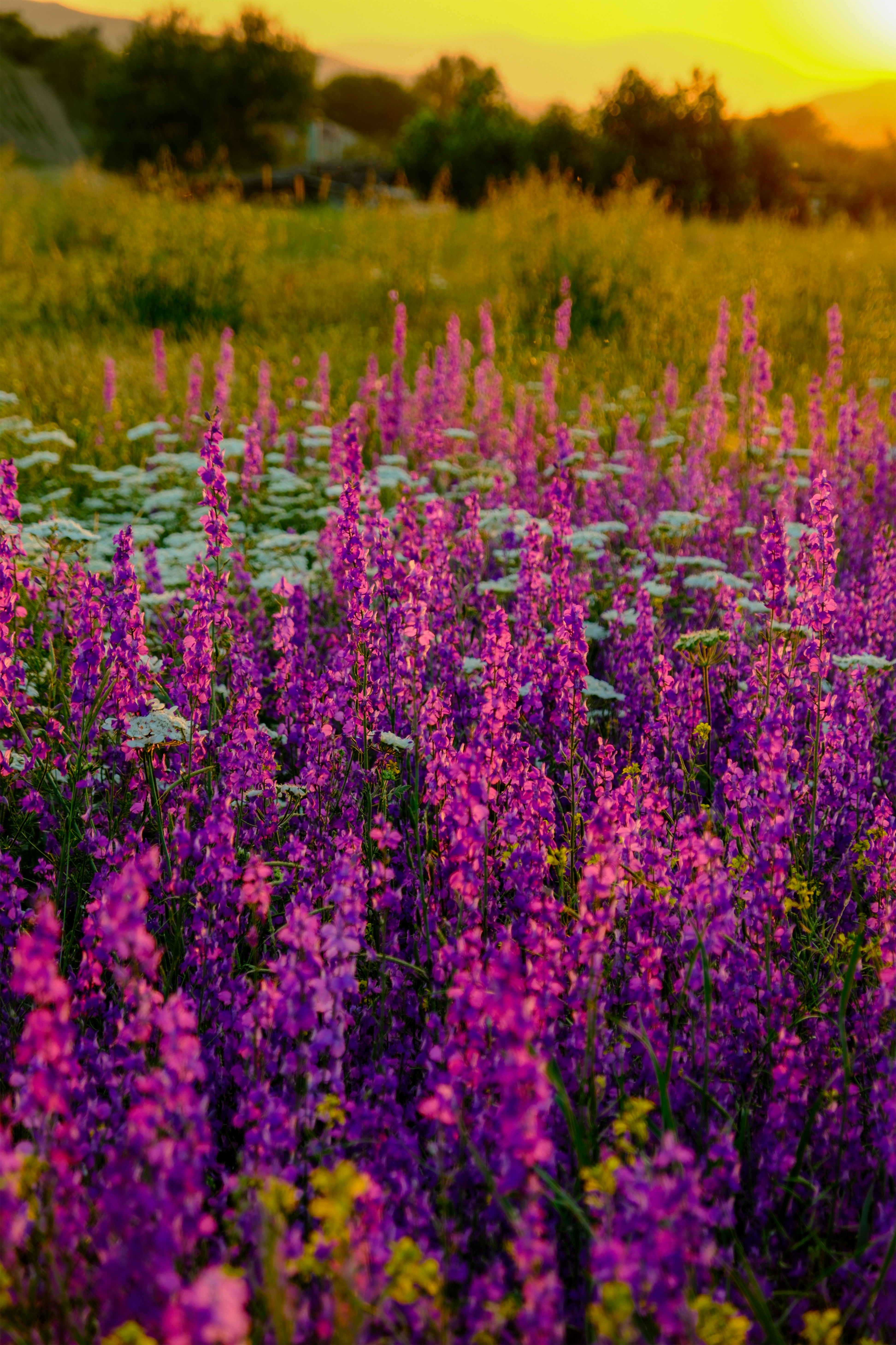 Photo by nazisrayelyan