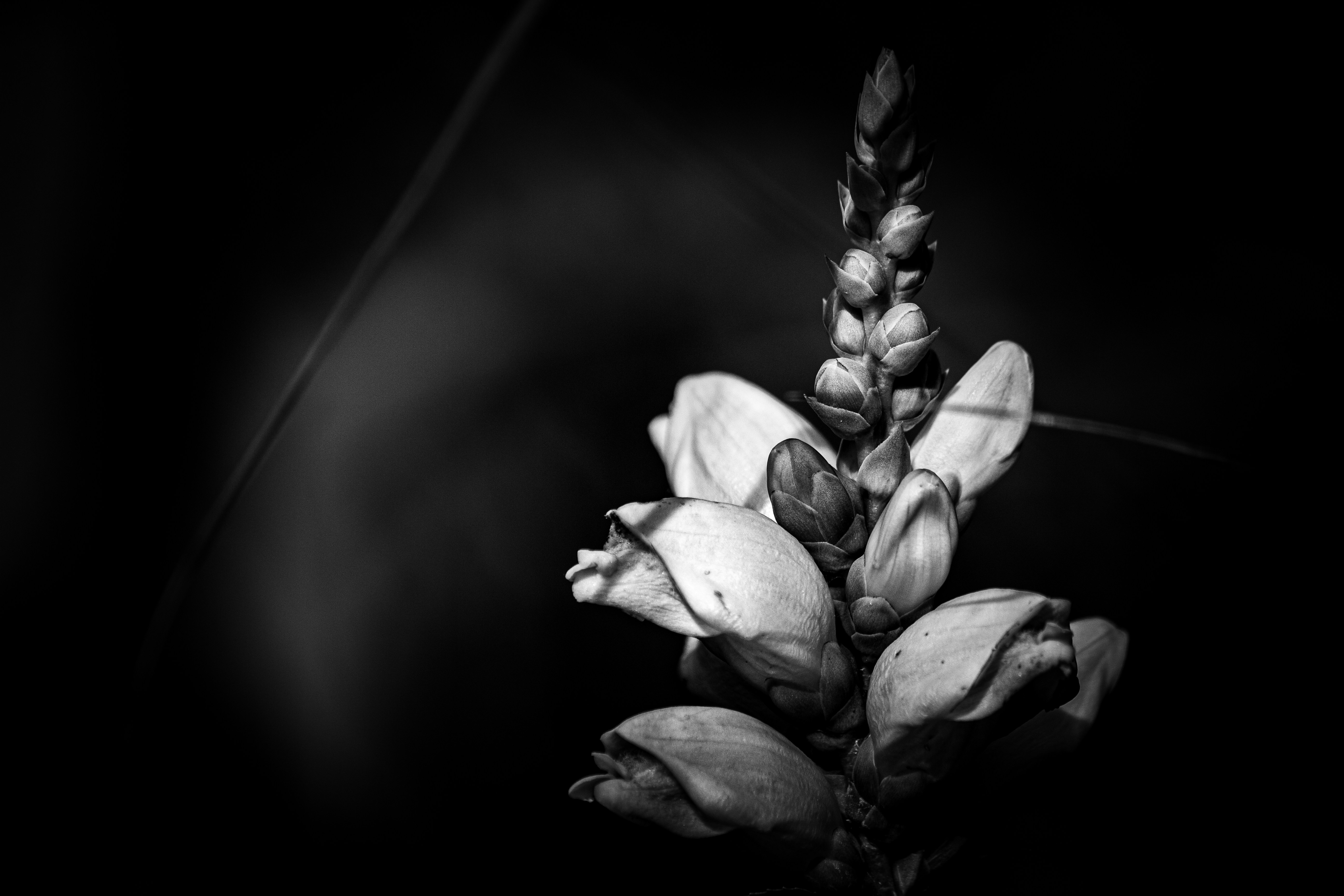 Photo by richiemortis