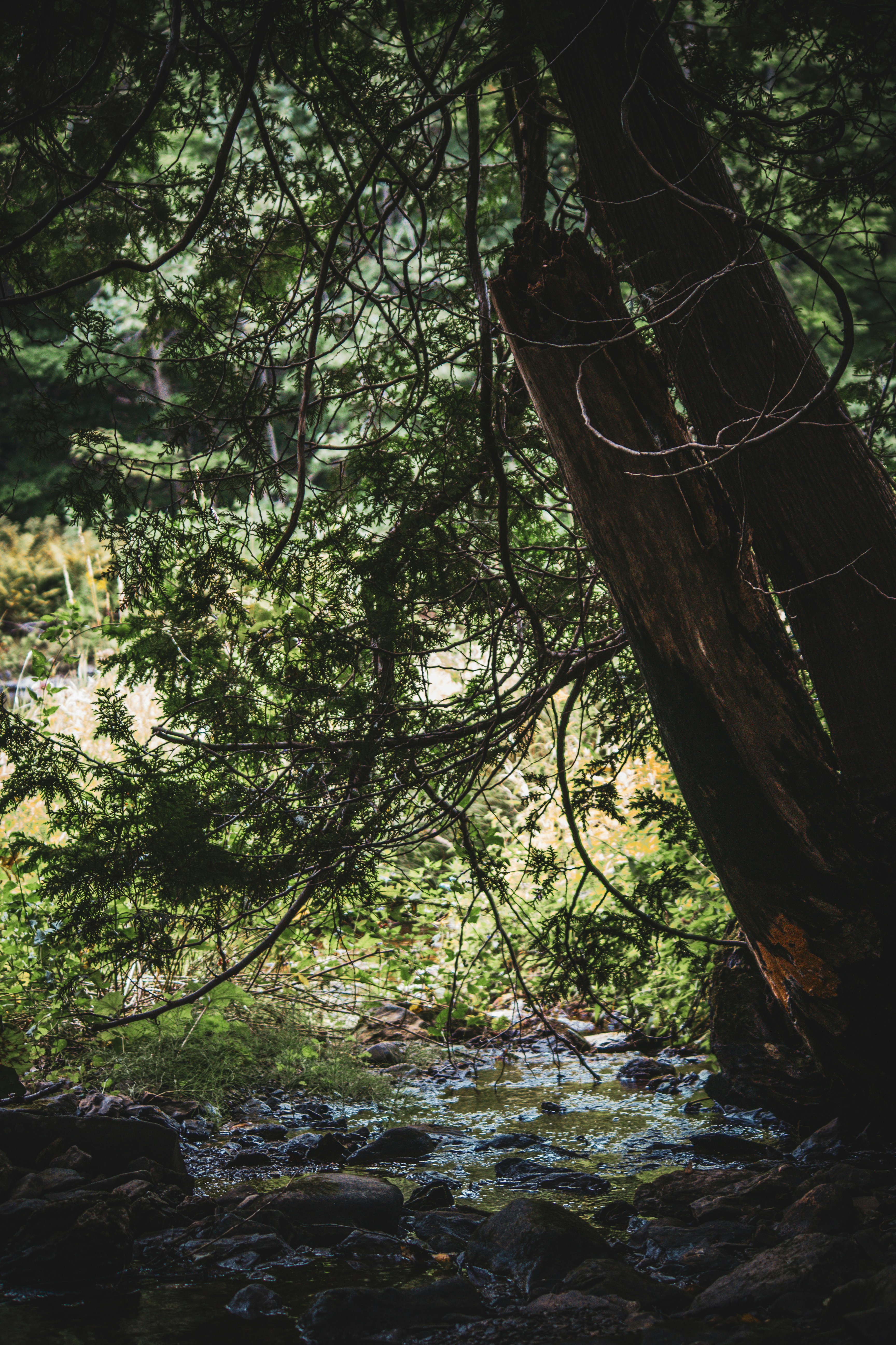 Photo by richiemortis