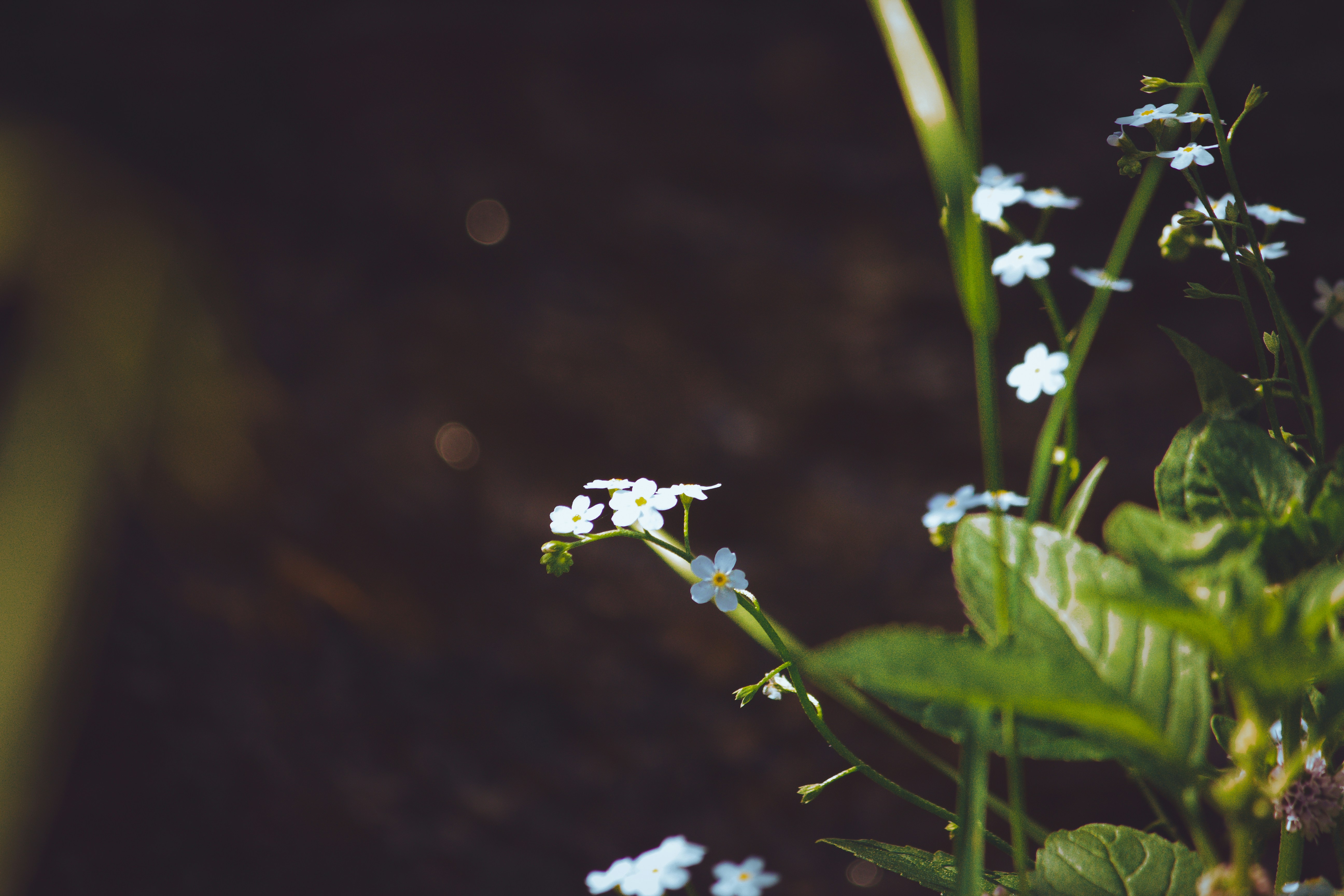 Photo by richiemortis