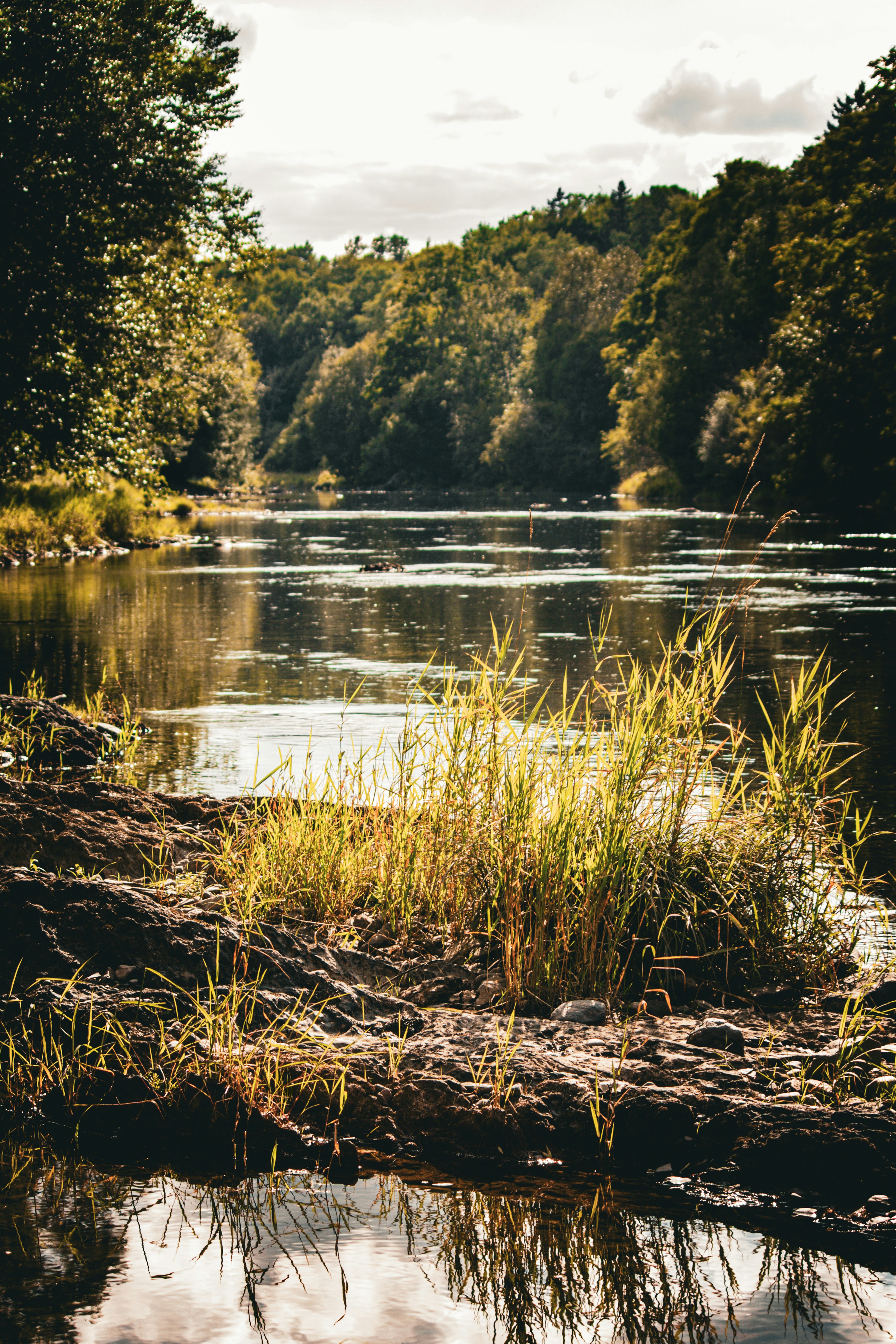 Photo by richiemortis