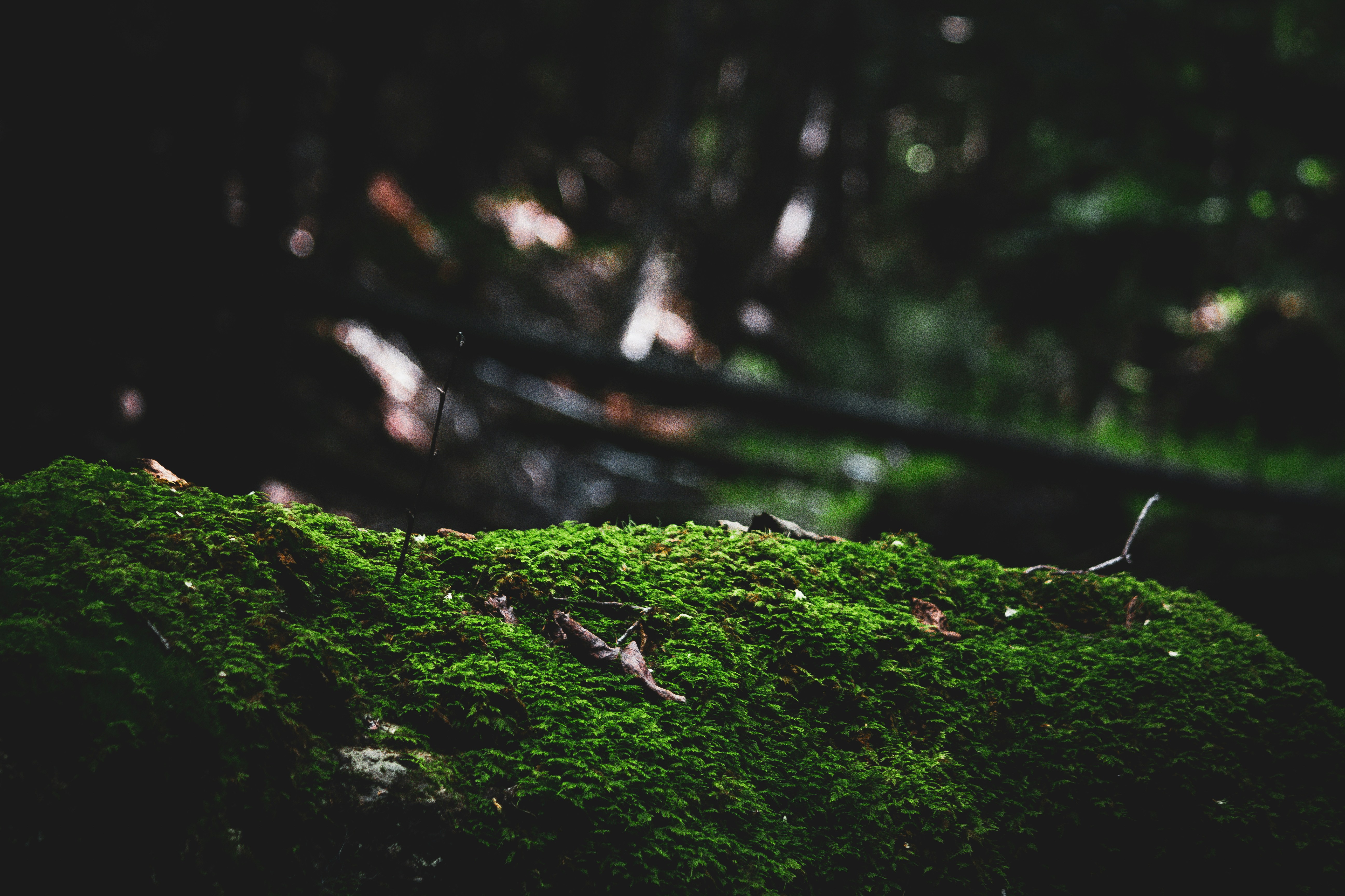 Photo by richiemortis