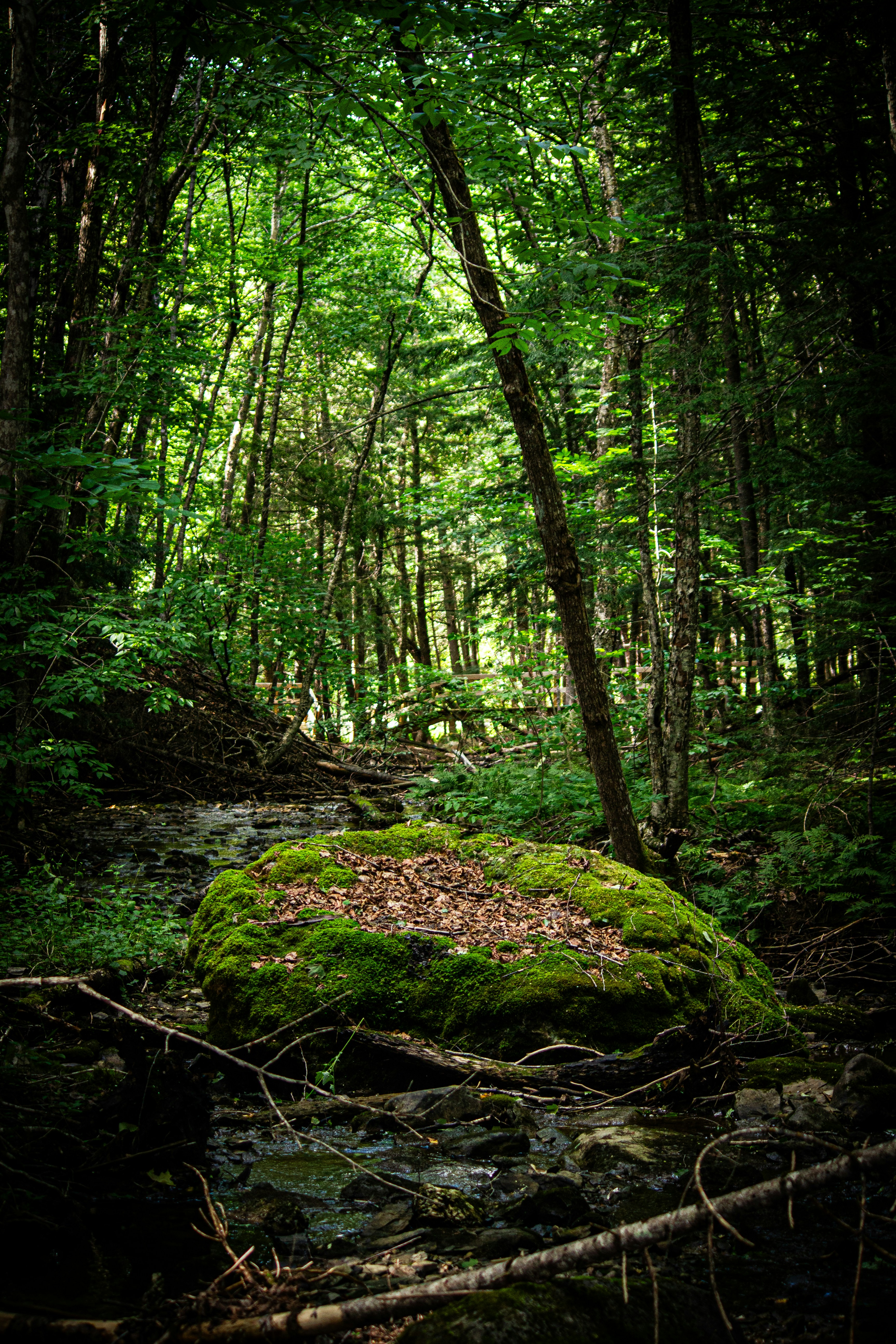 Photo by richiemortis