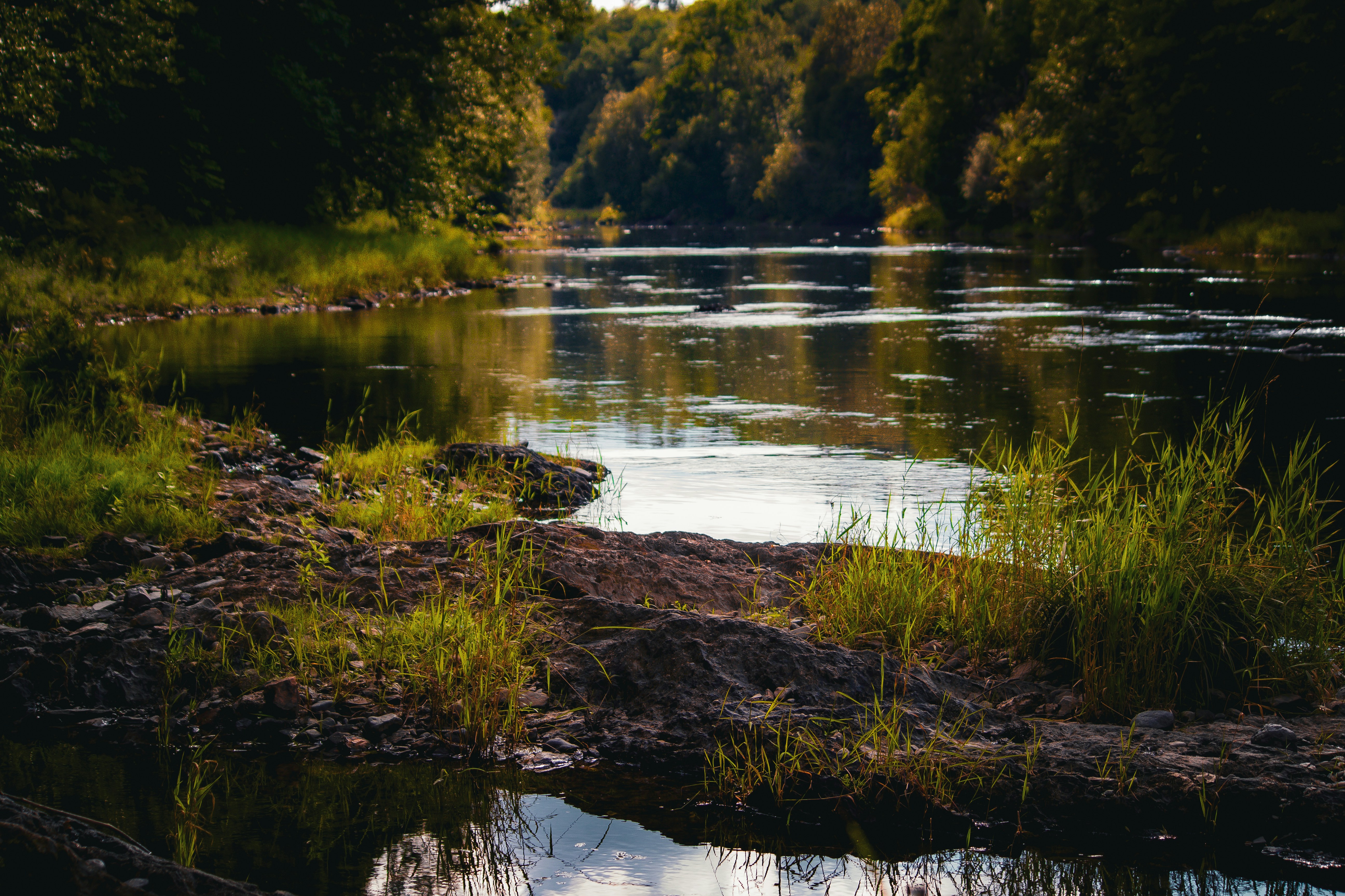 Photo by richiemortis