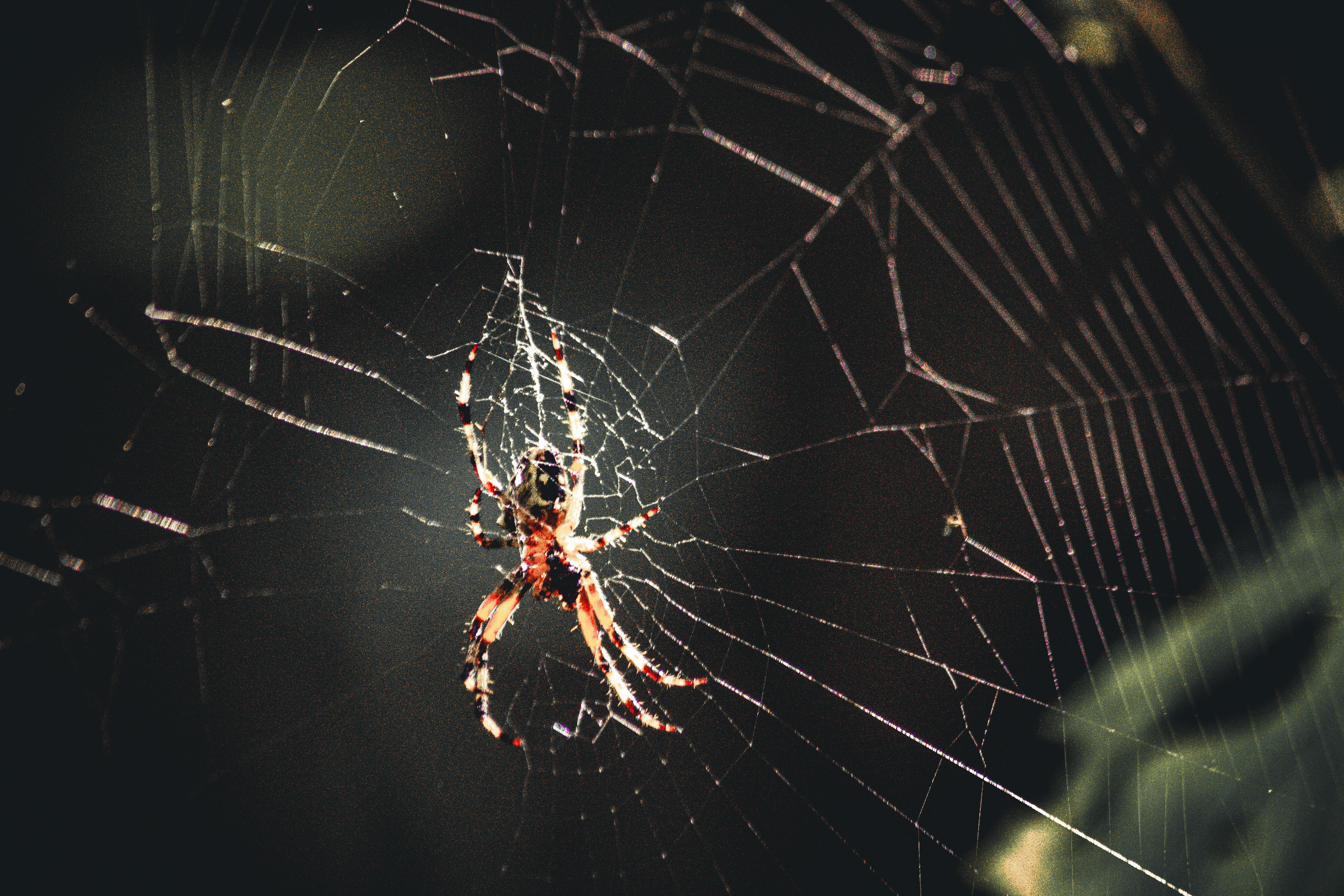 Photo by richiemortis