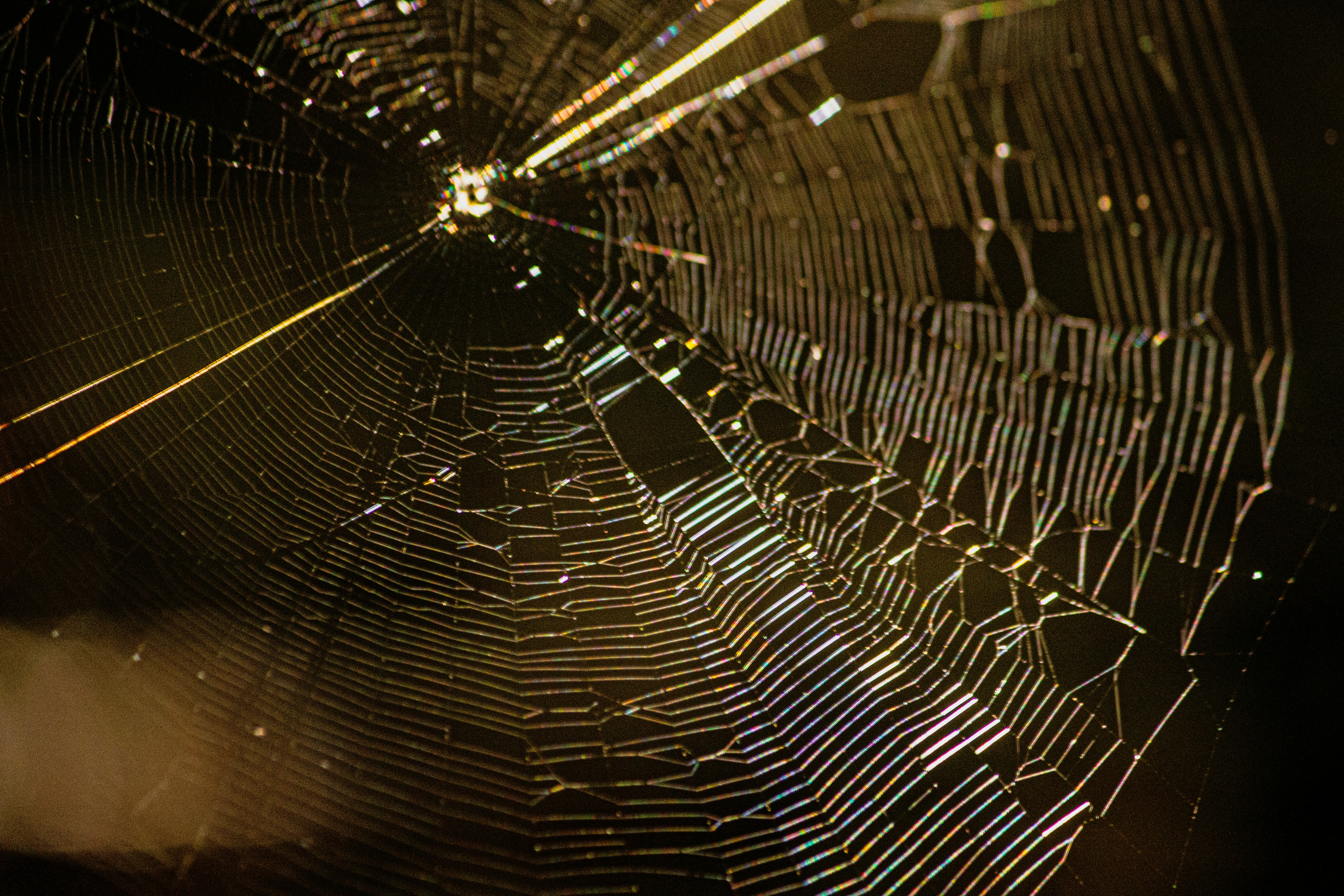 Photo by richiemortis