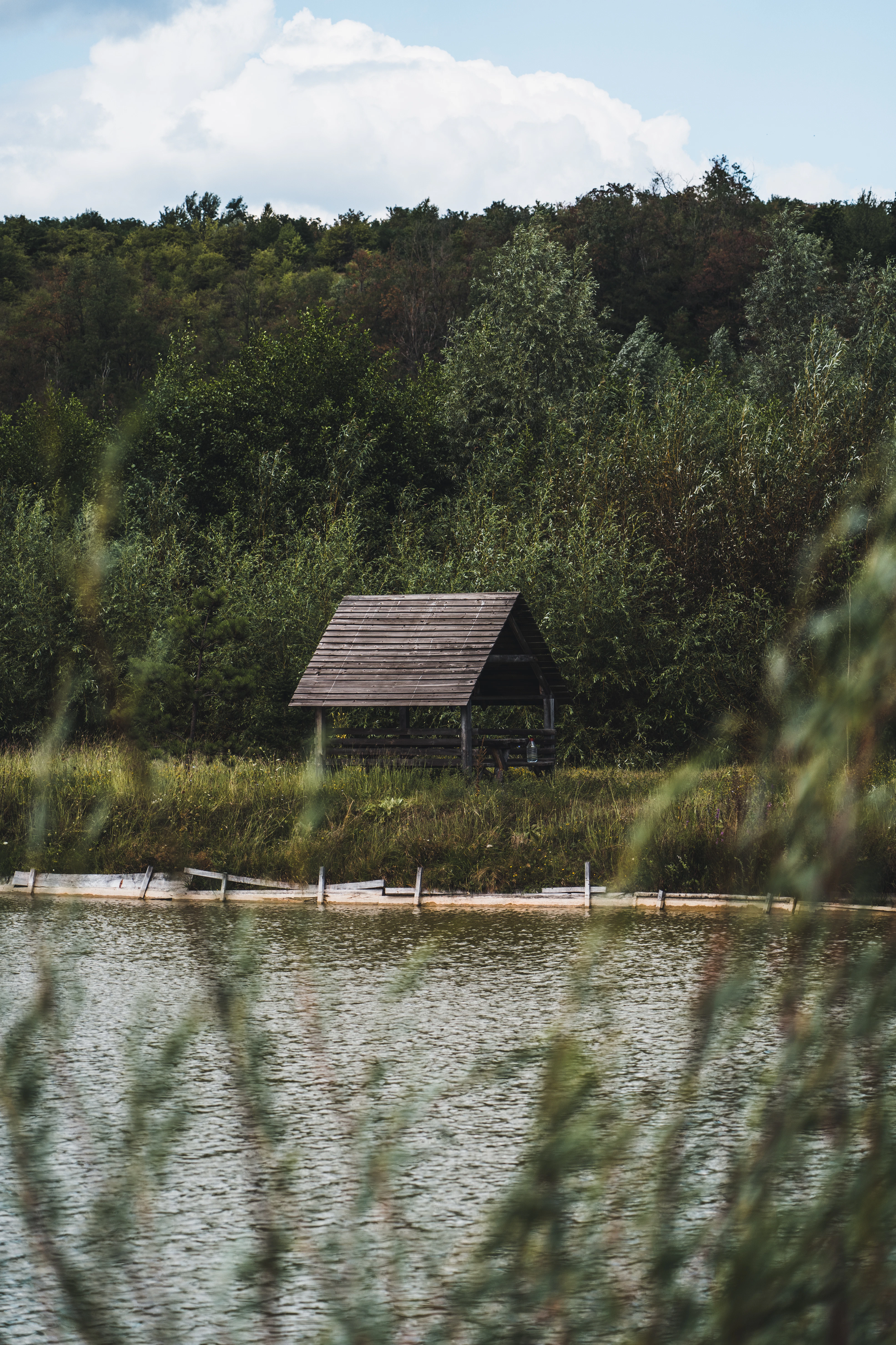 Small cabin on the wooded shore of a lake