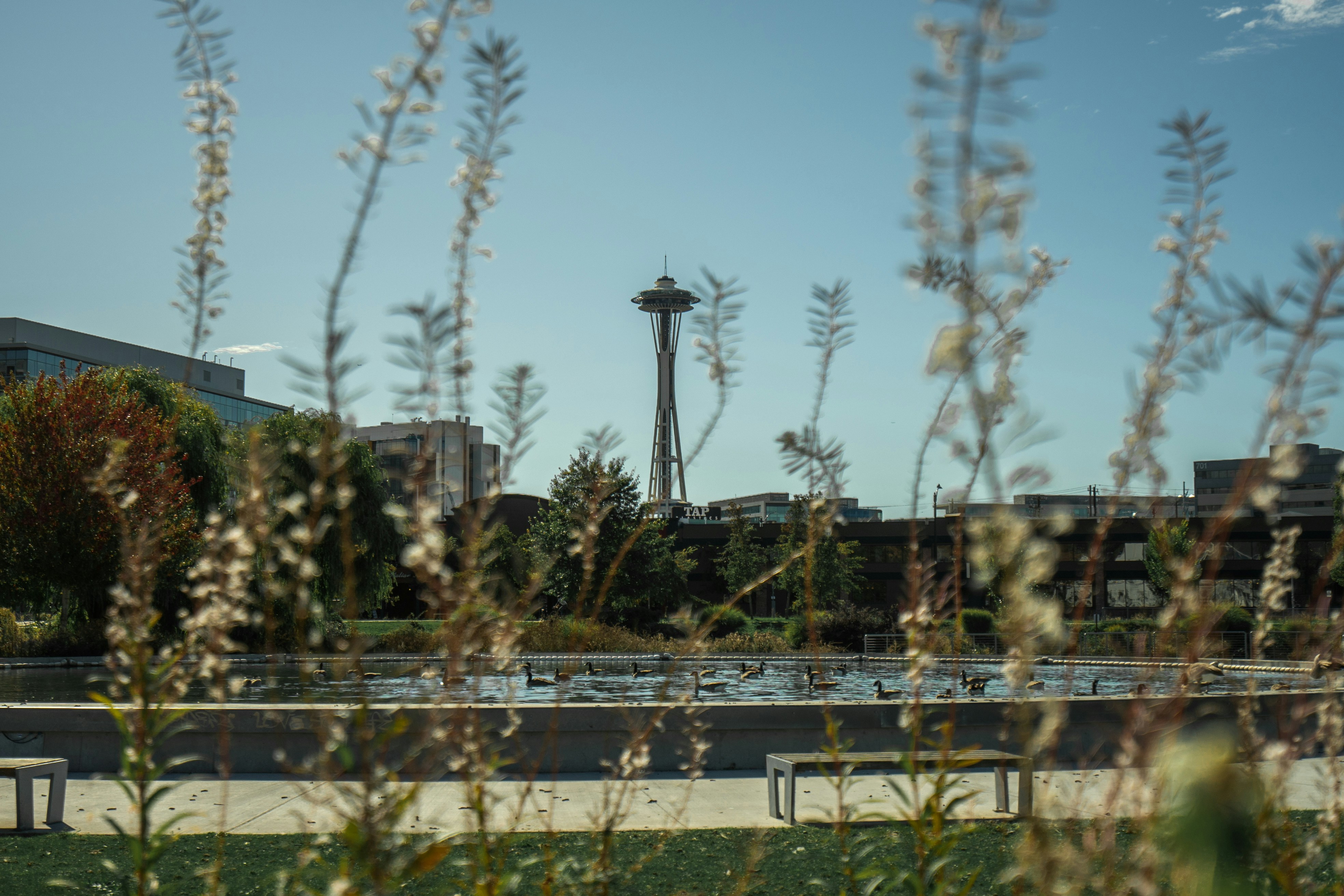 A bench in a park with a view of a city in the background