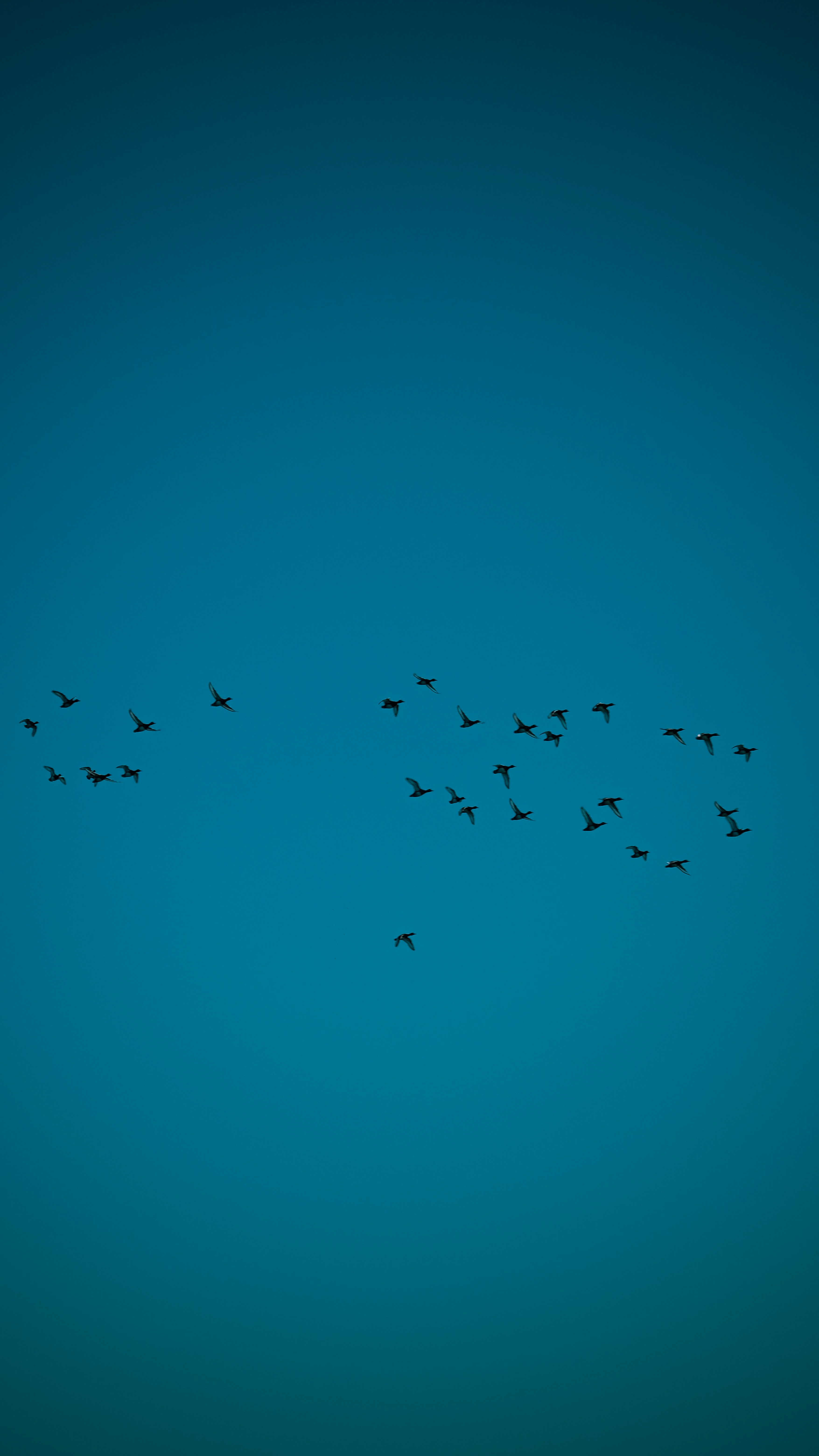 Photo by adhamragab__