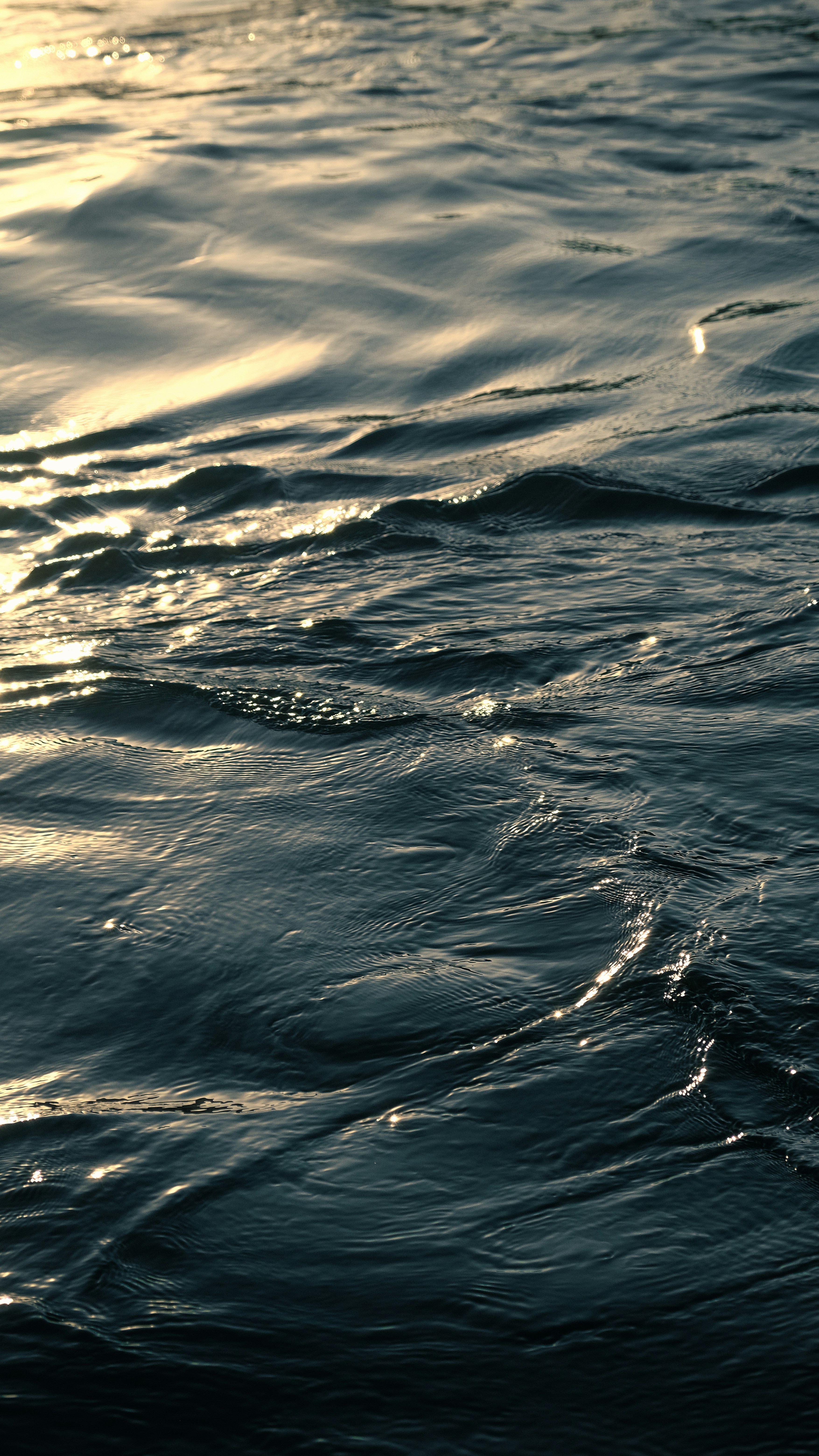 Photo by adhamragab__