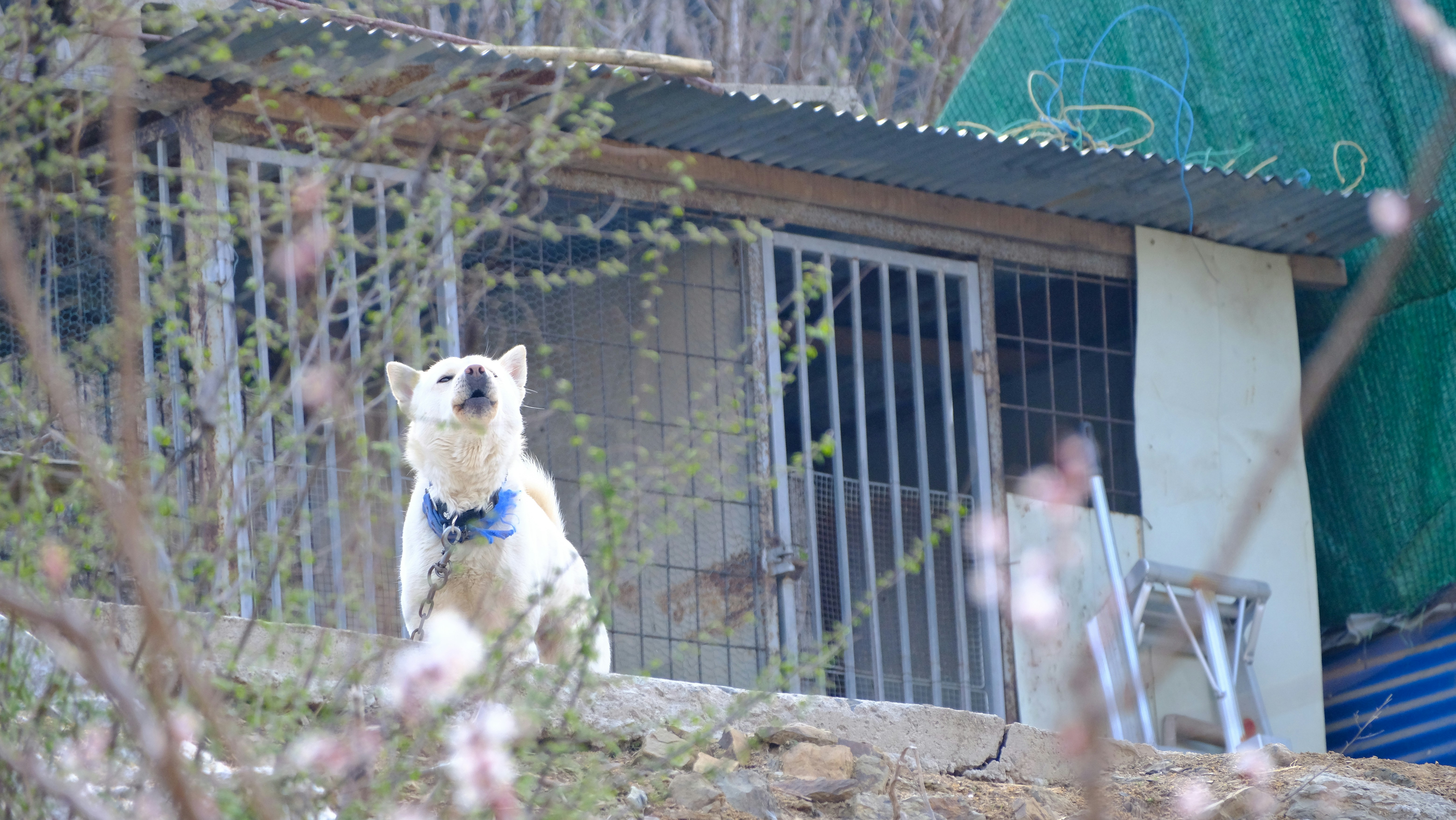 Balancing Mental and Physical Stimulation