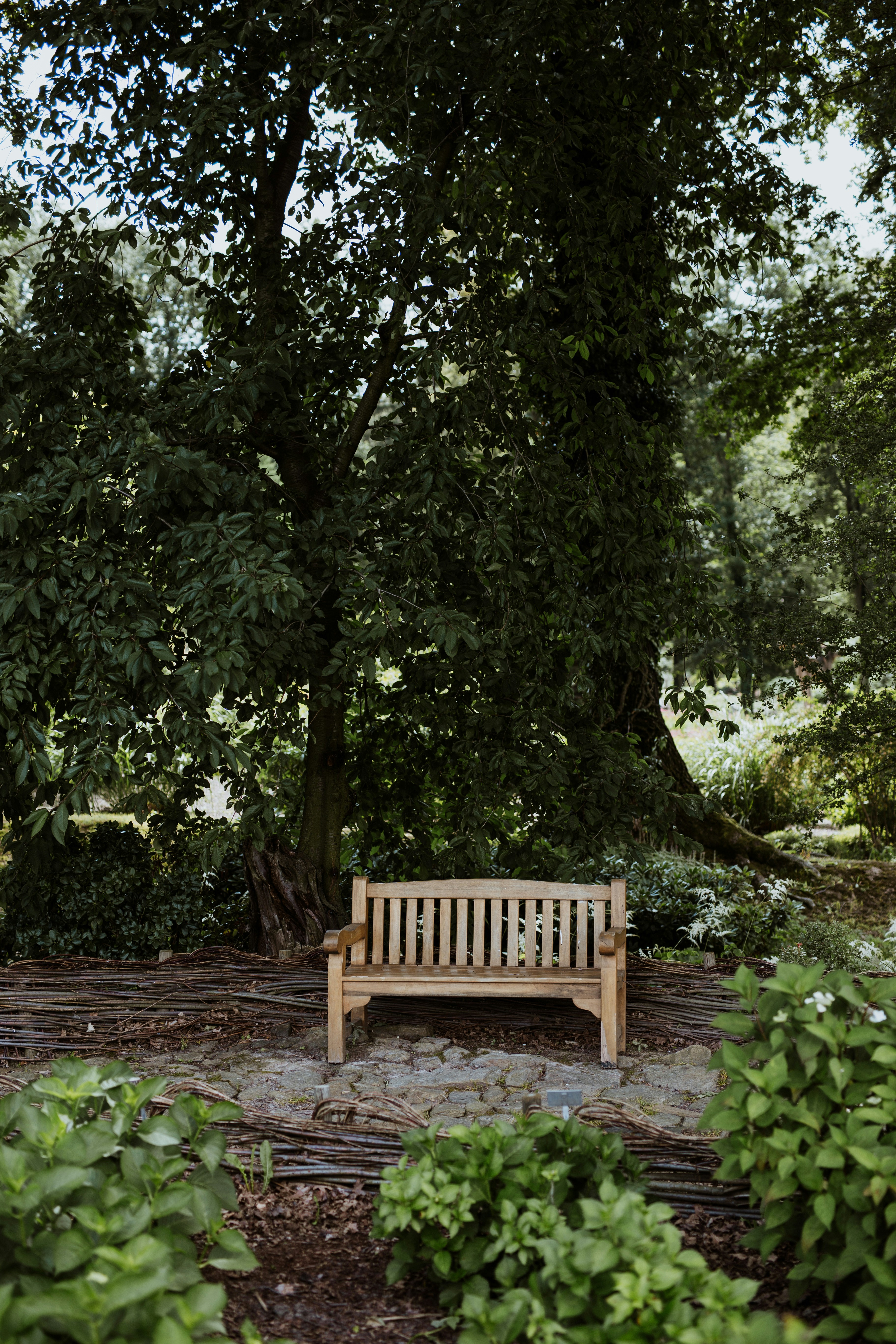 Photo by annabellalifestyle