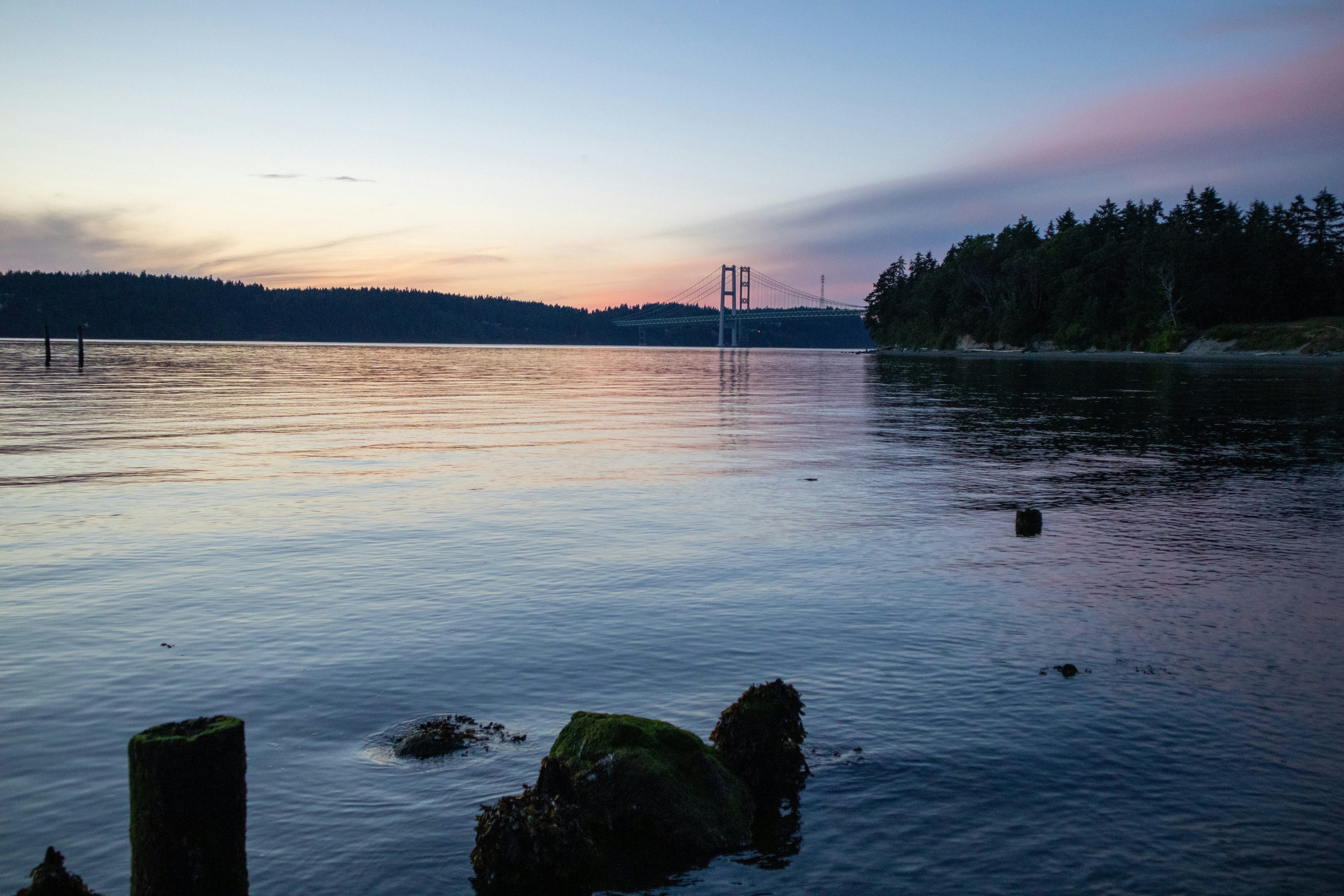 The Day a Bridge Started Dancing: How America's Most Spectacular Engineering Failure Changed Everything We Build