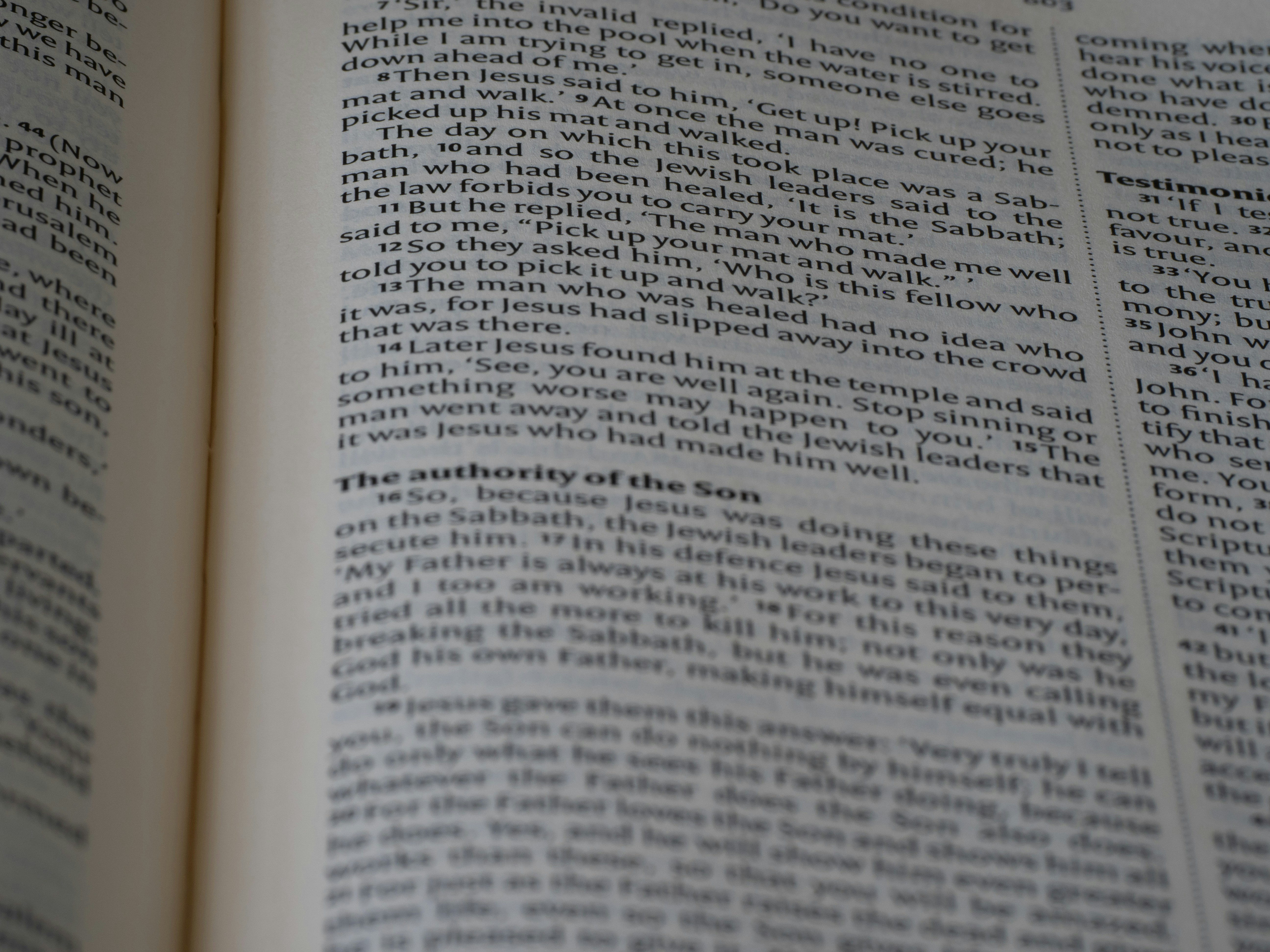 Photo by brett_jordan