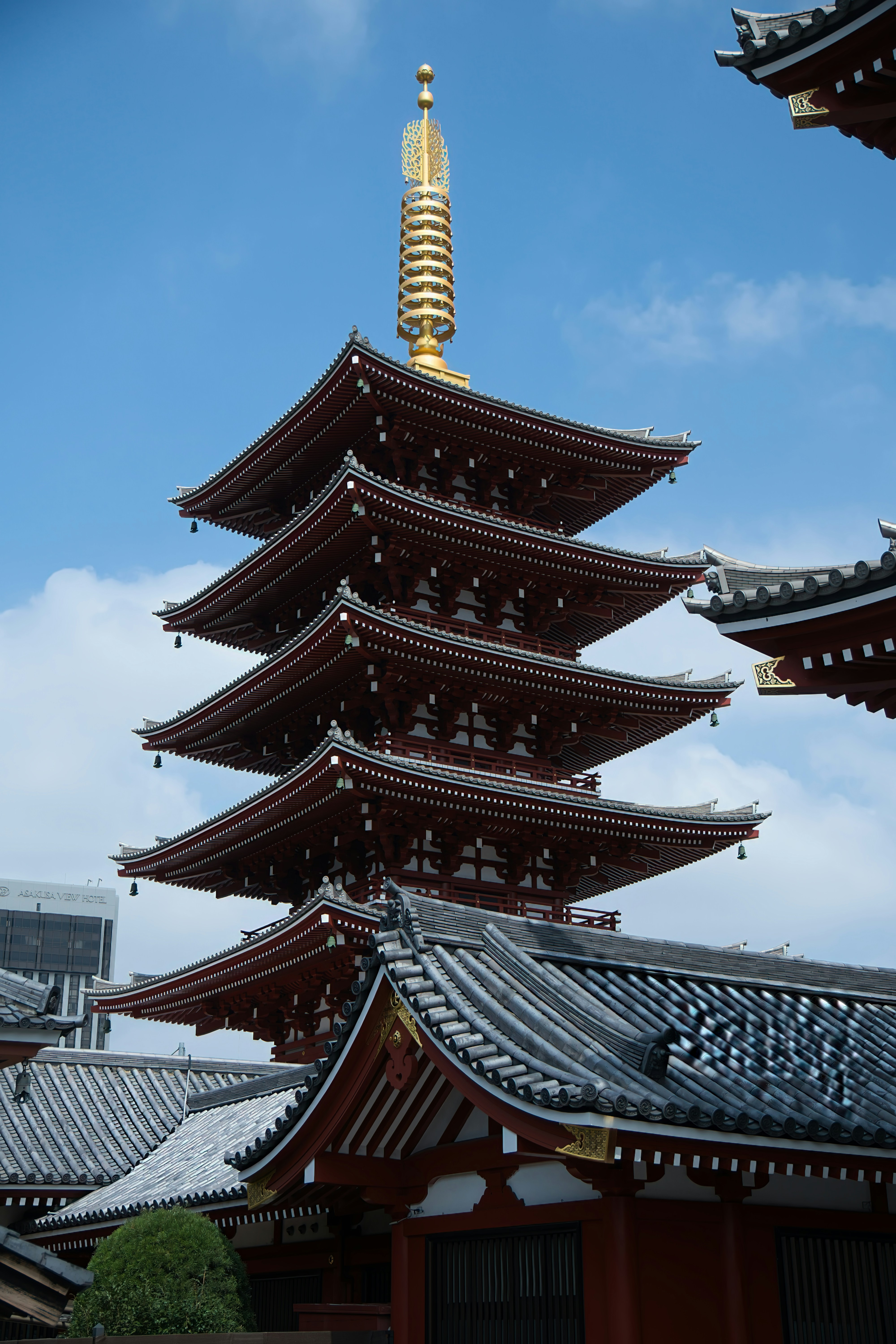 Photo by gianlucamolteni14