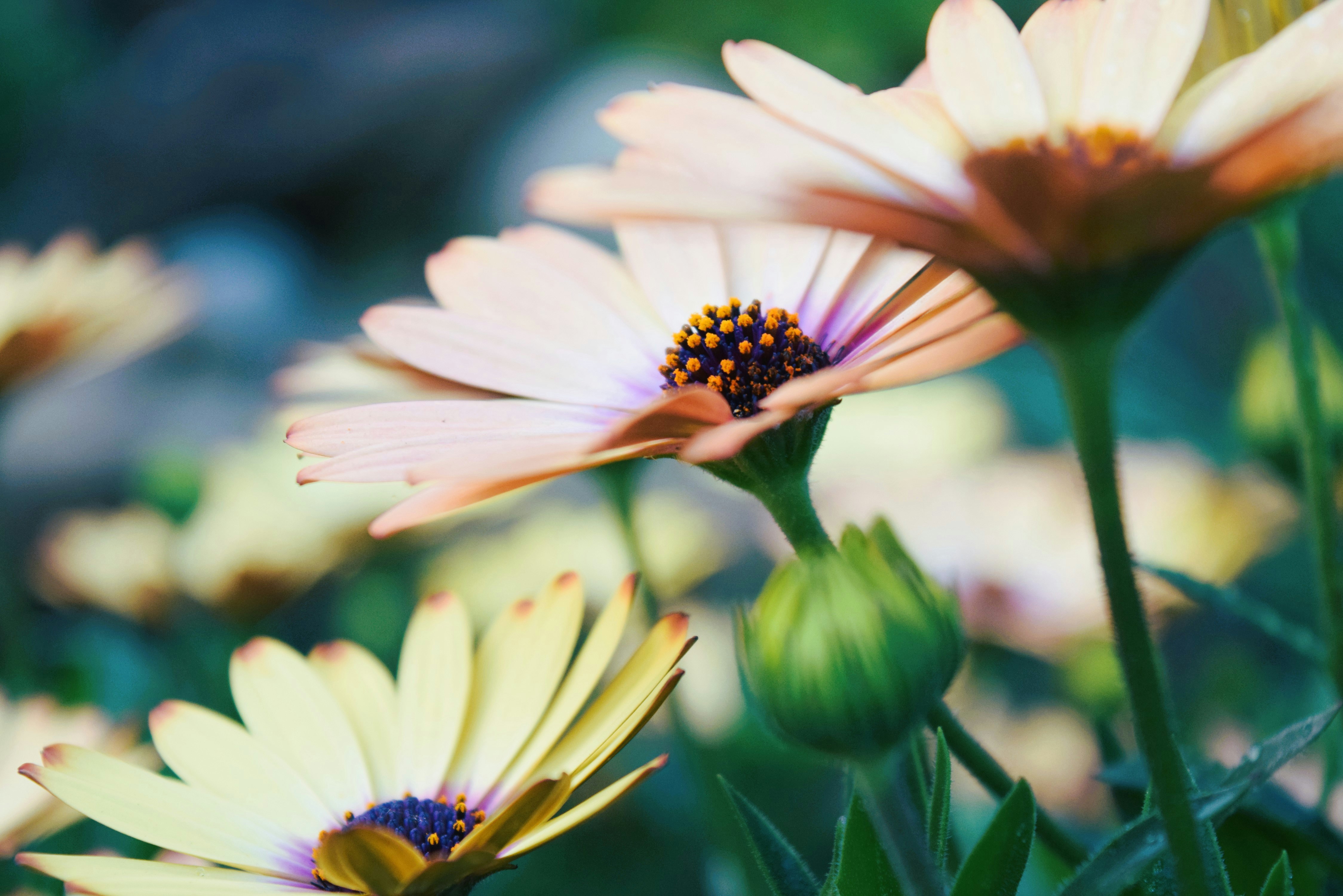 Photo by ch_photography