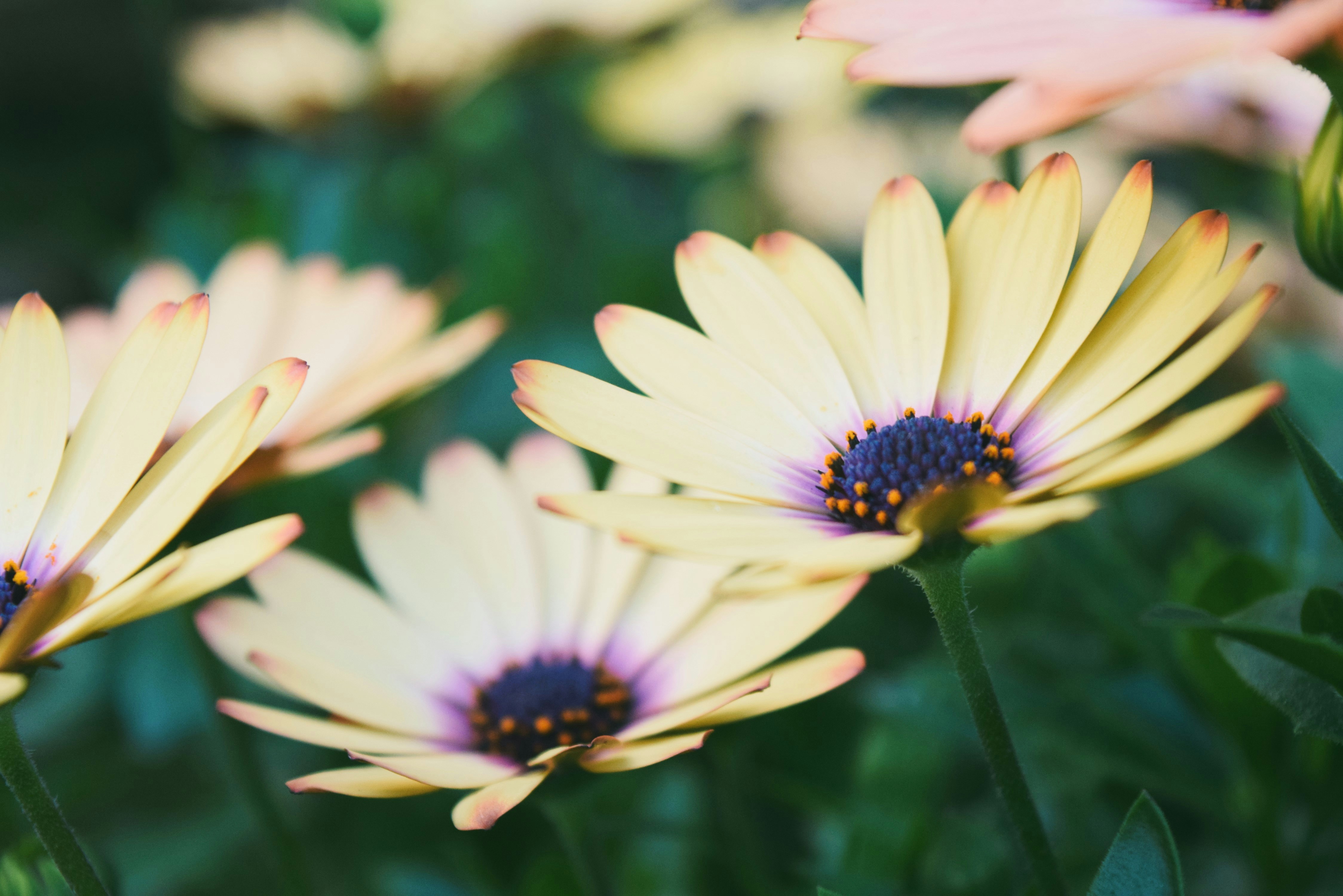 Photo by ch_photography