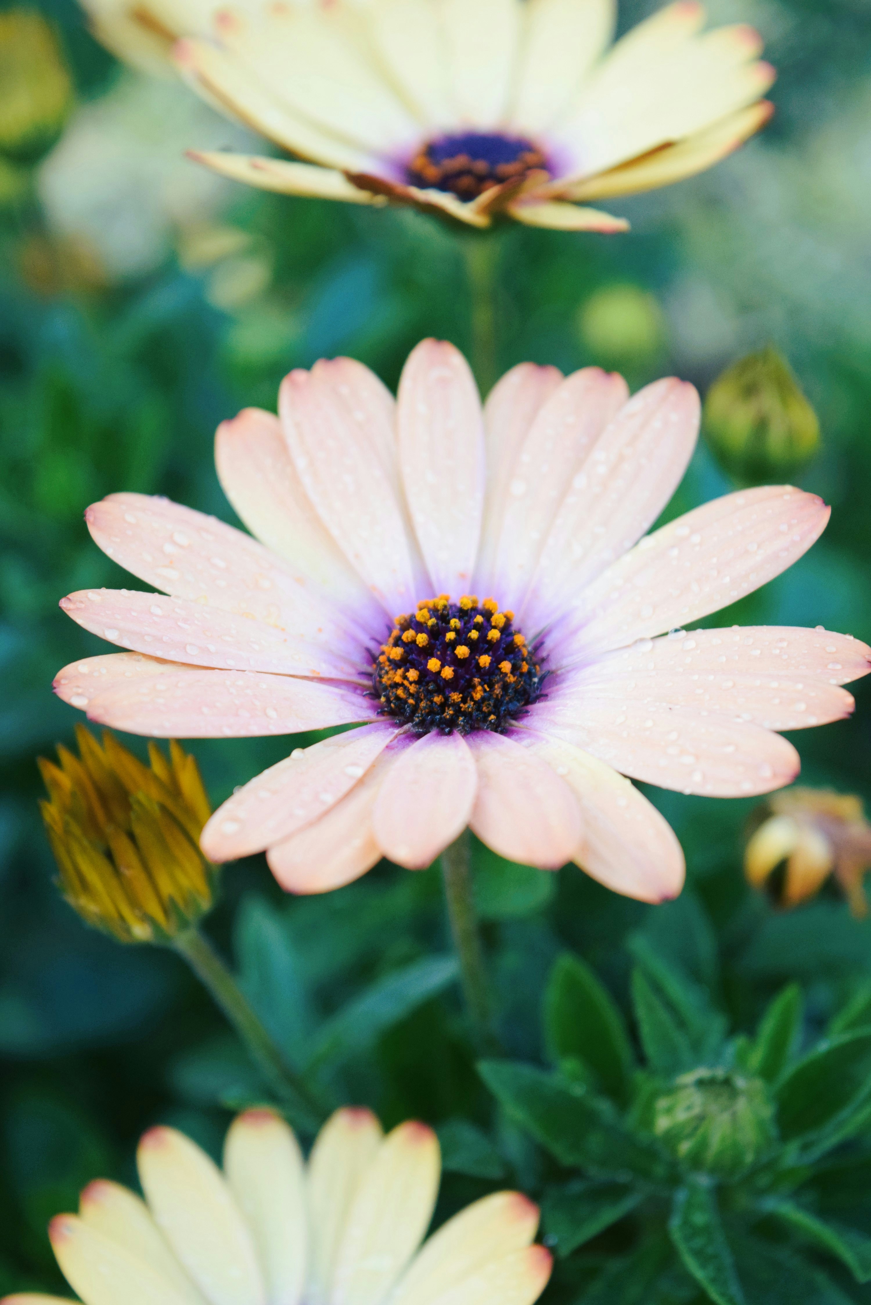 Photo by ch_photography