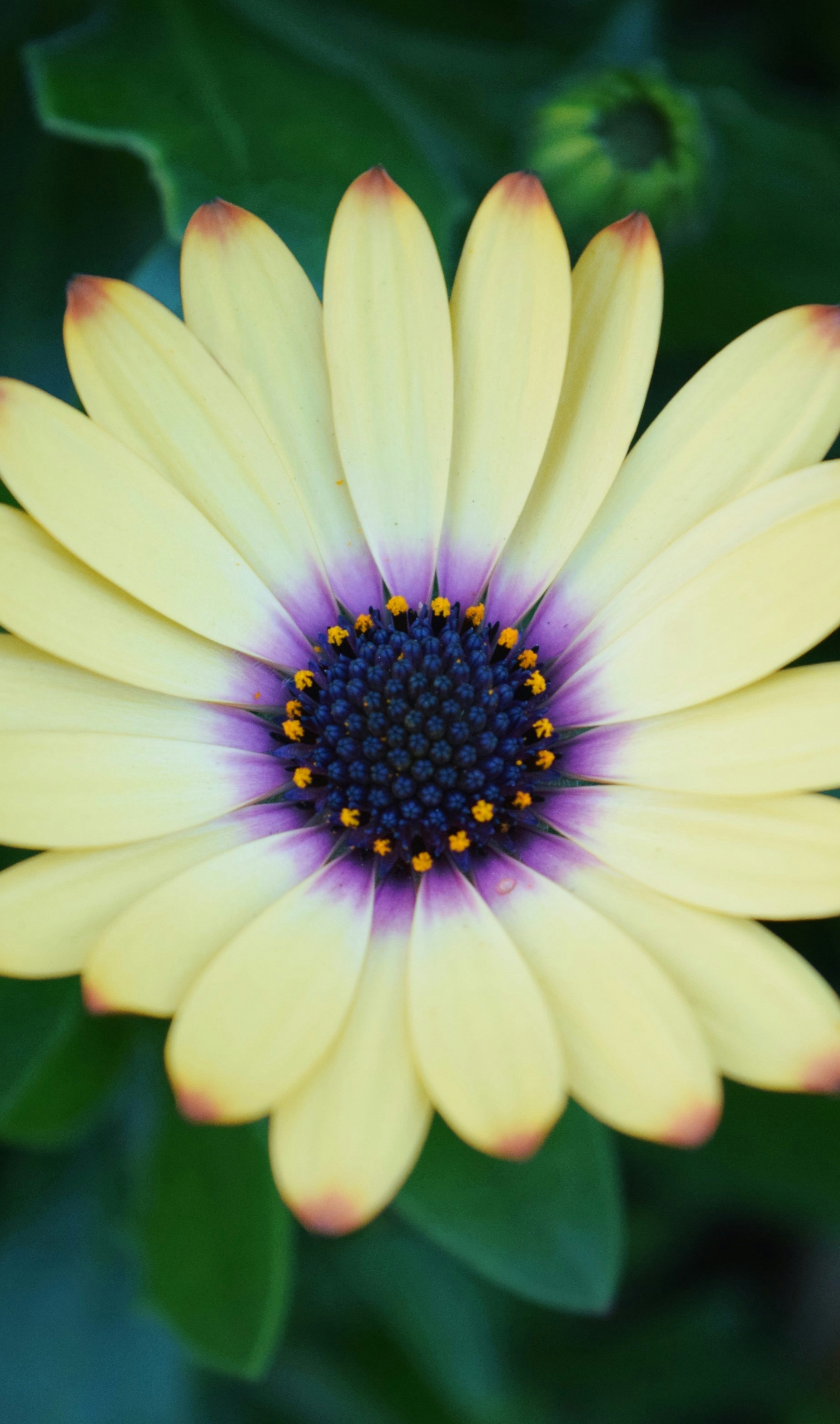 Photo by ch_photography