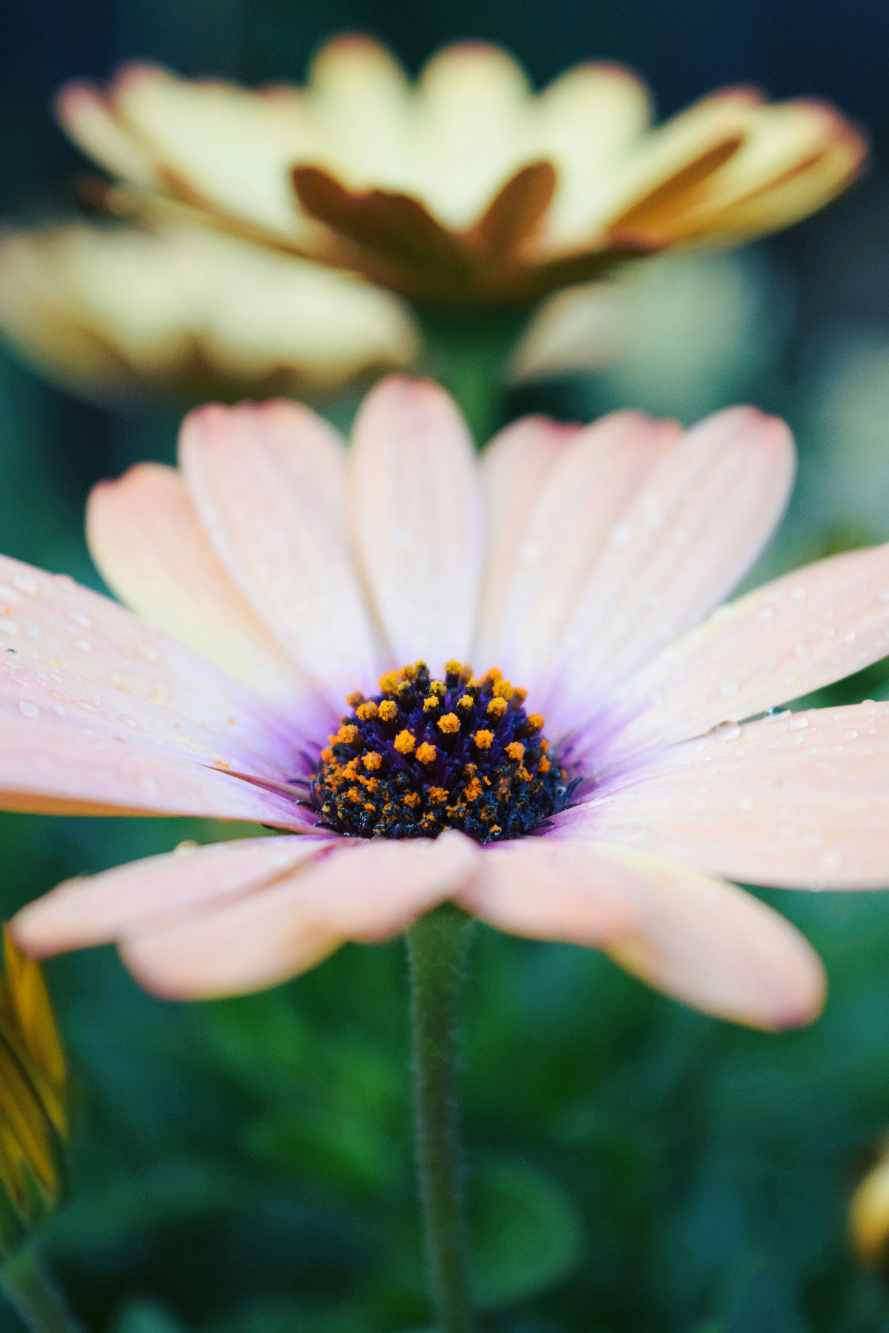 Photo by ch_photography