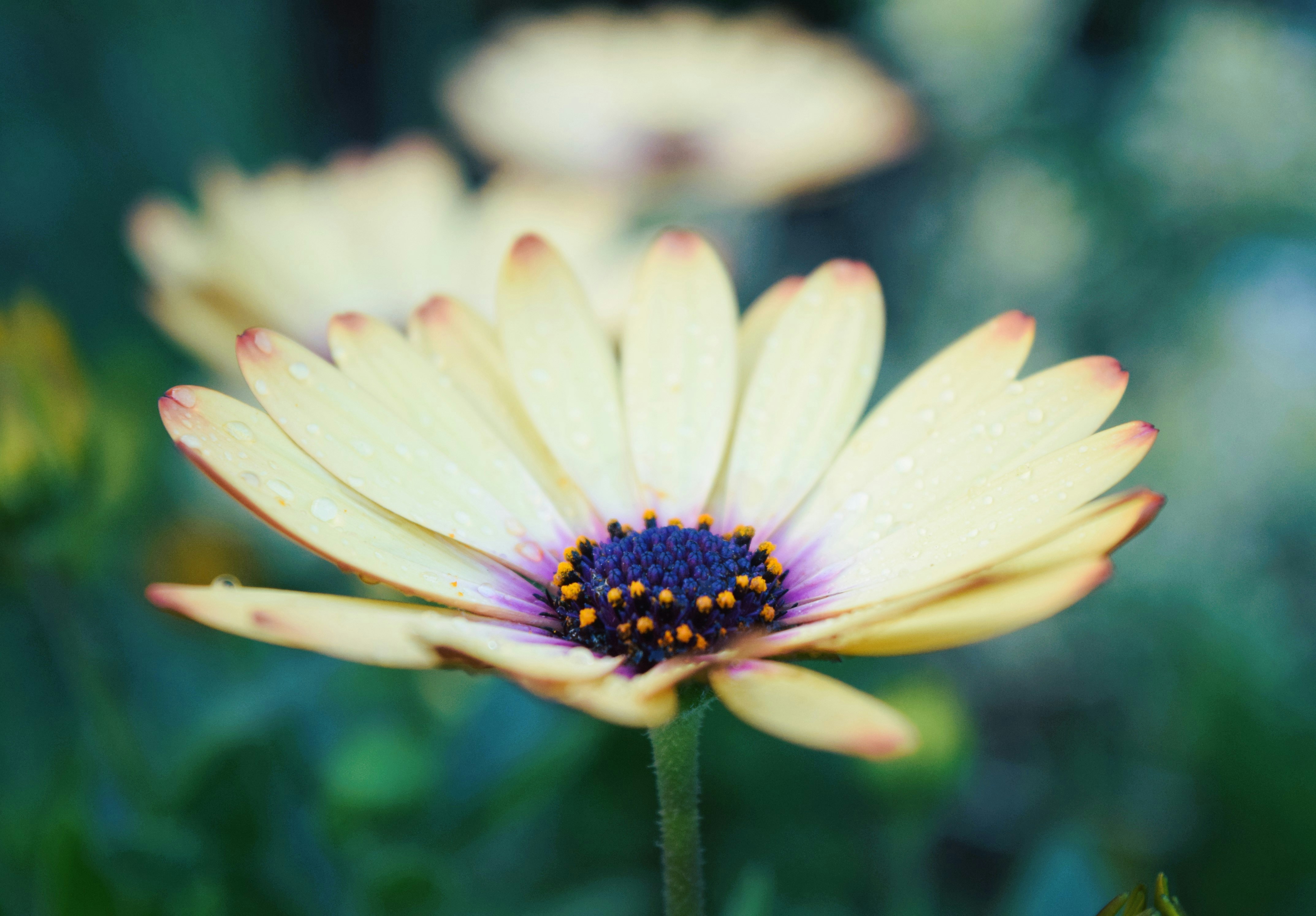 Photo by ch_photography